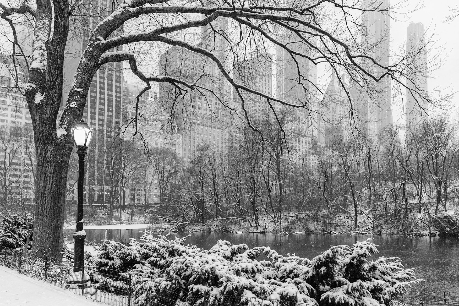 Central Park (New York) after snowfall