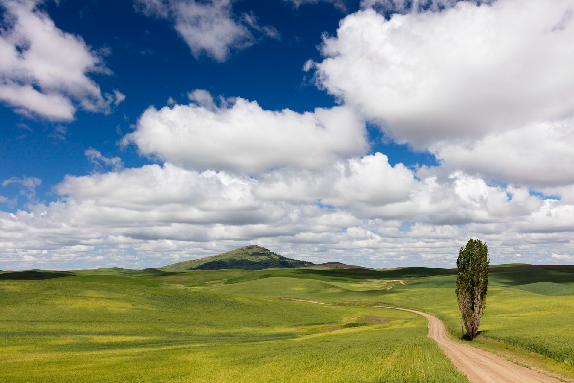 Steptoe Butte, Palouse (WA State)