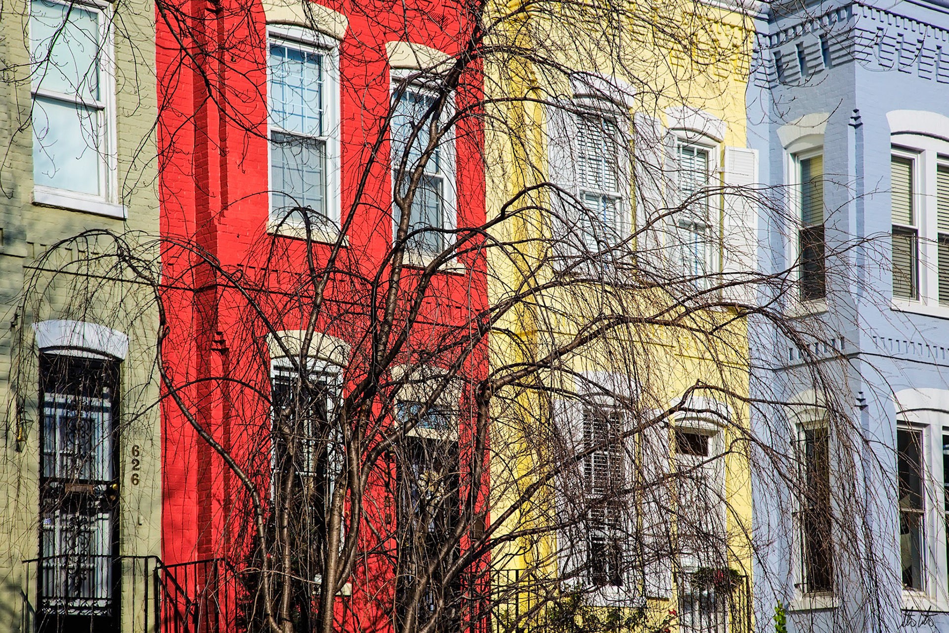 Rowhouses, Washington DC