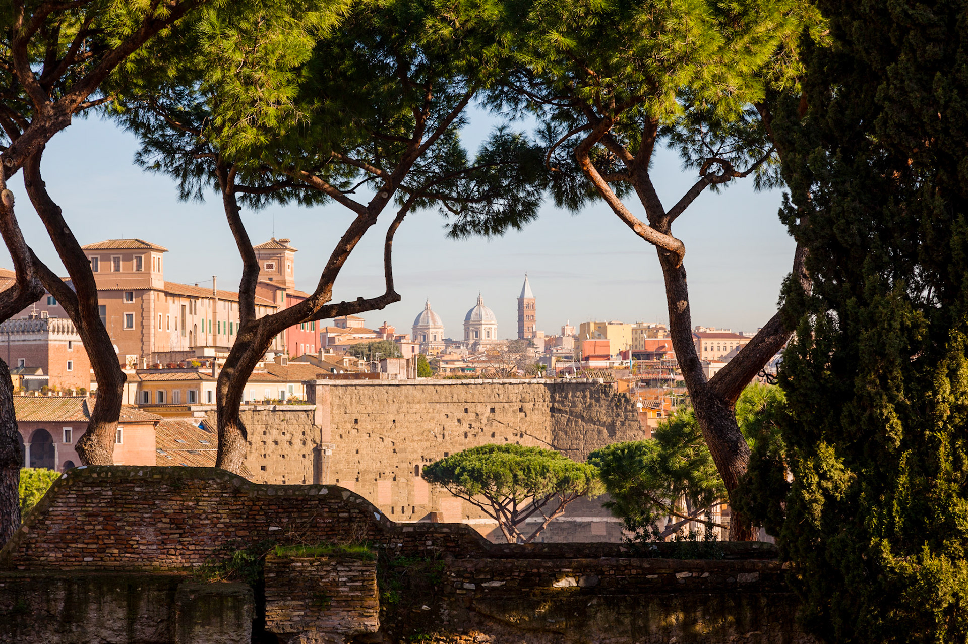 Palantine Hill view, Rome