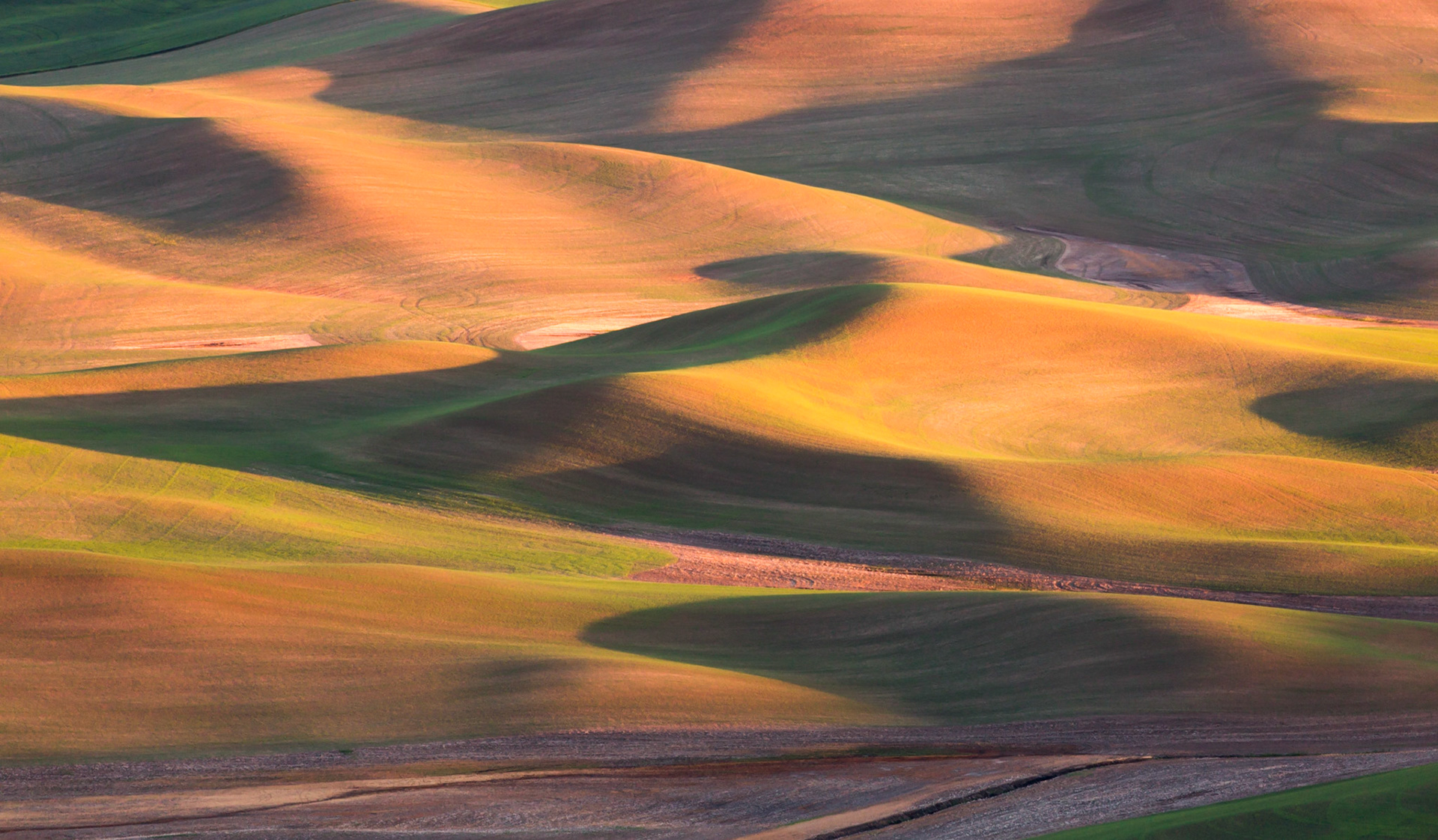 Palouse landscape