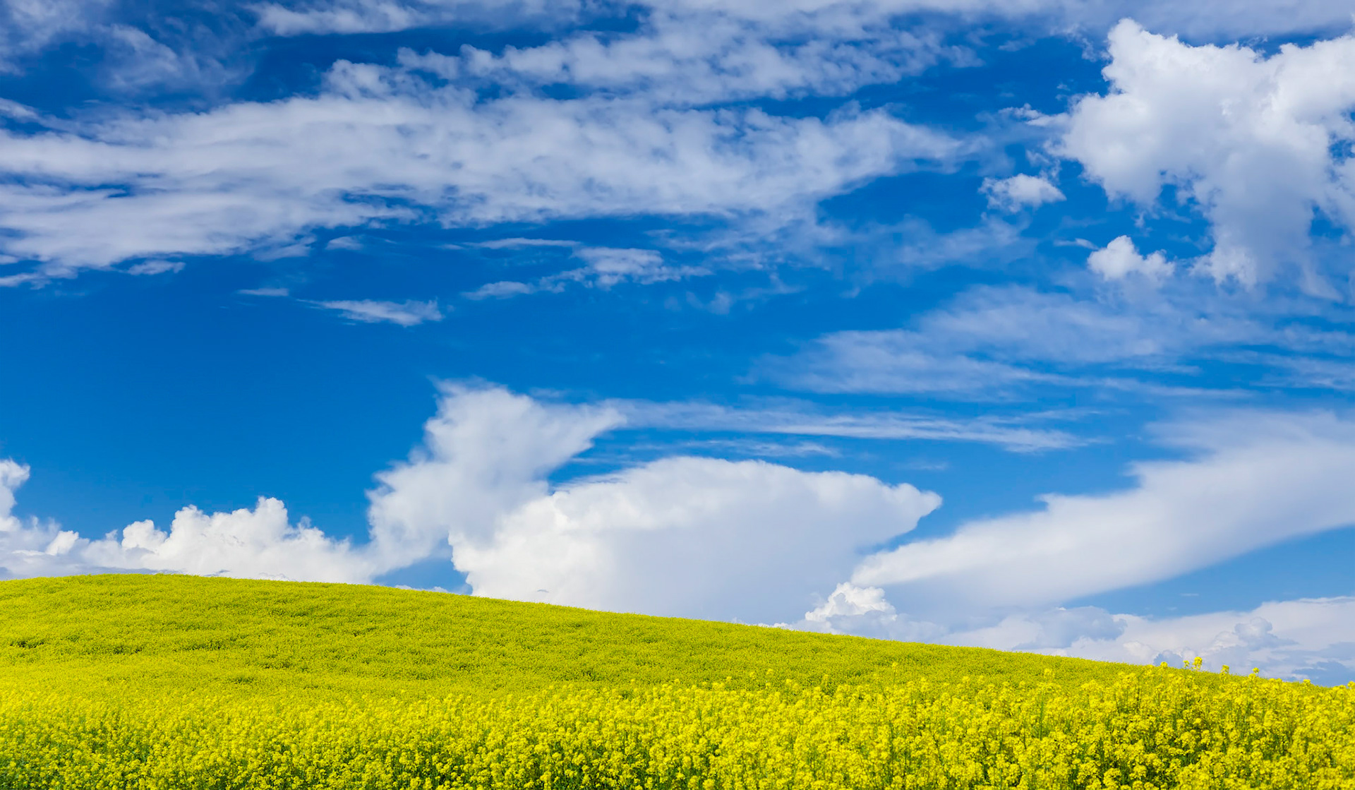 Blue sky in the Palouse