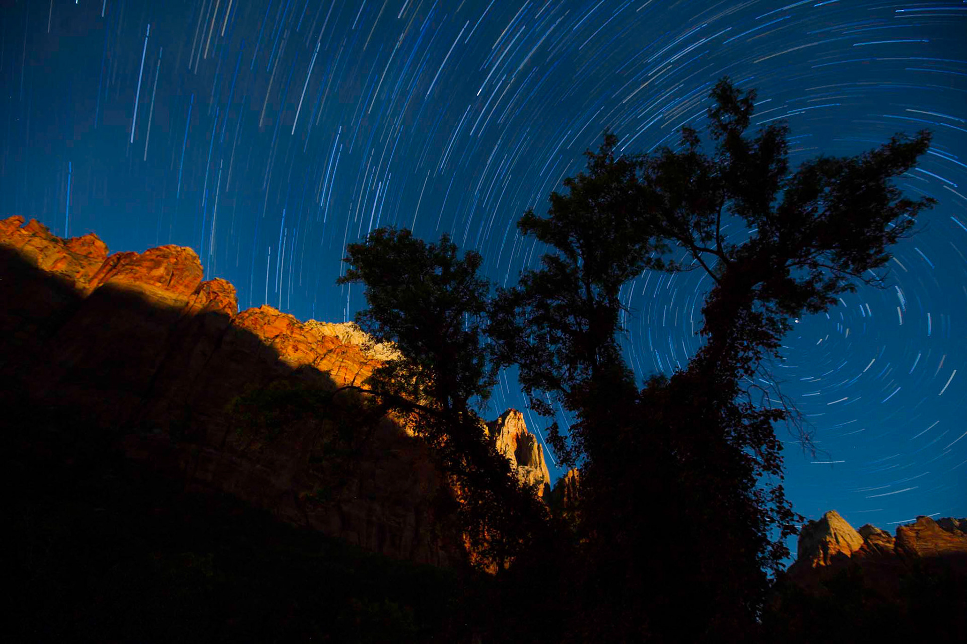 Star trails, Zion NP