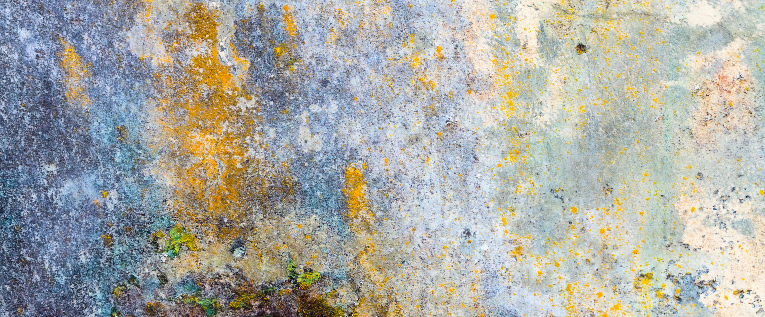 Rust, lichen, and decay
