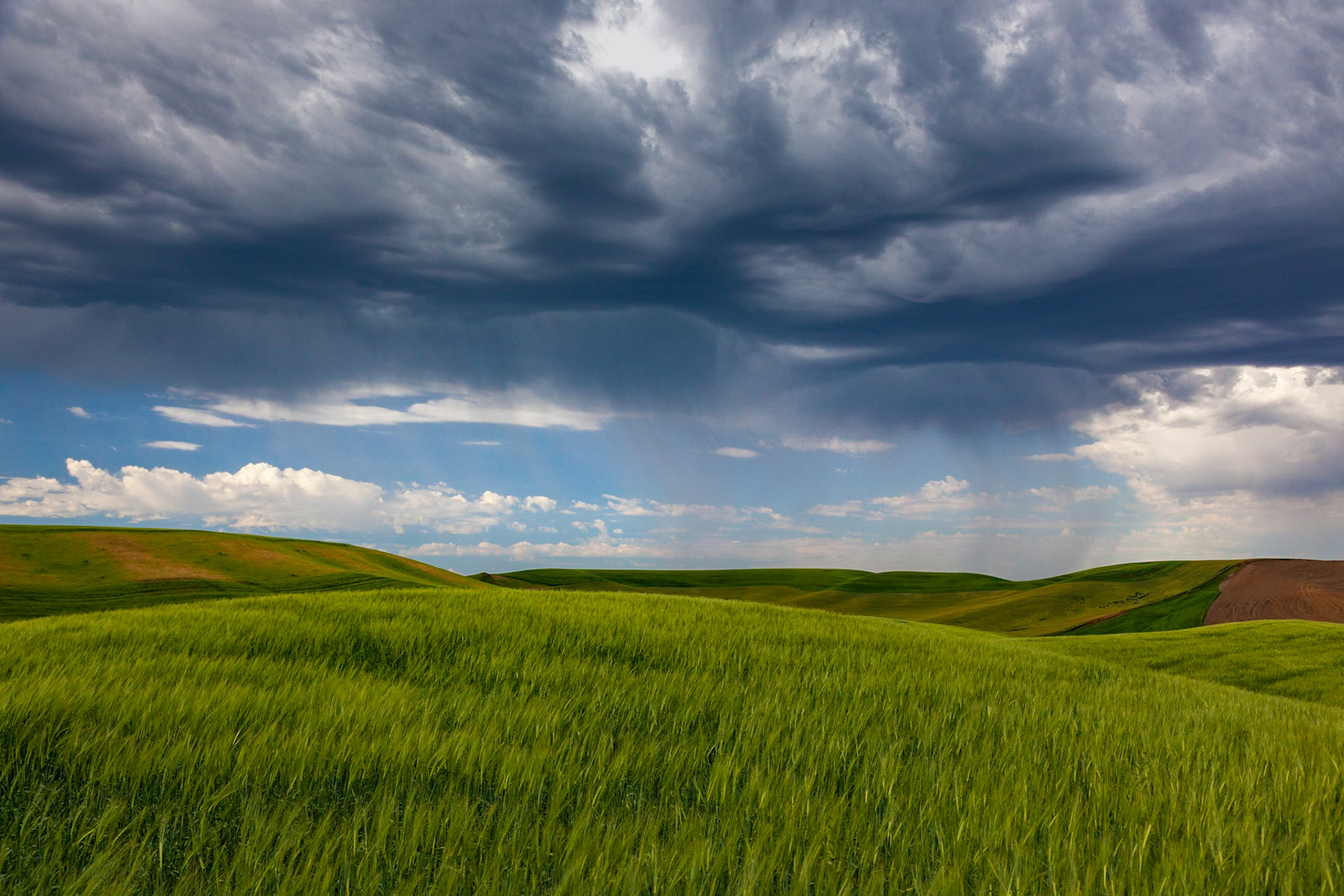 Storm over the Palouse, WA State