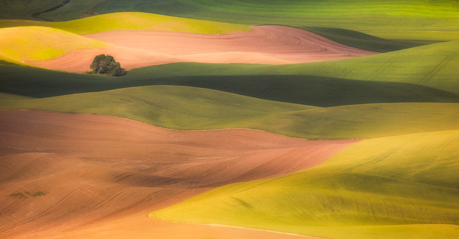 Palouse, WA State
