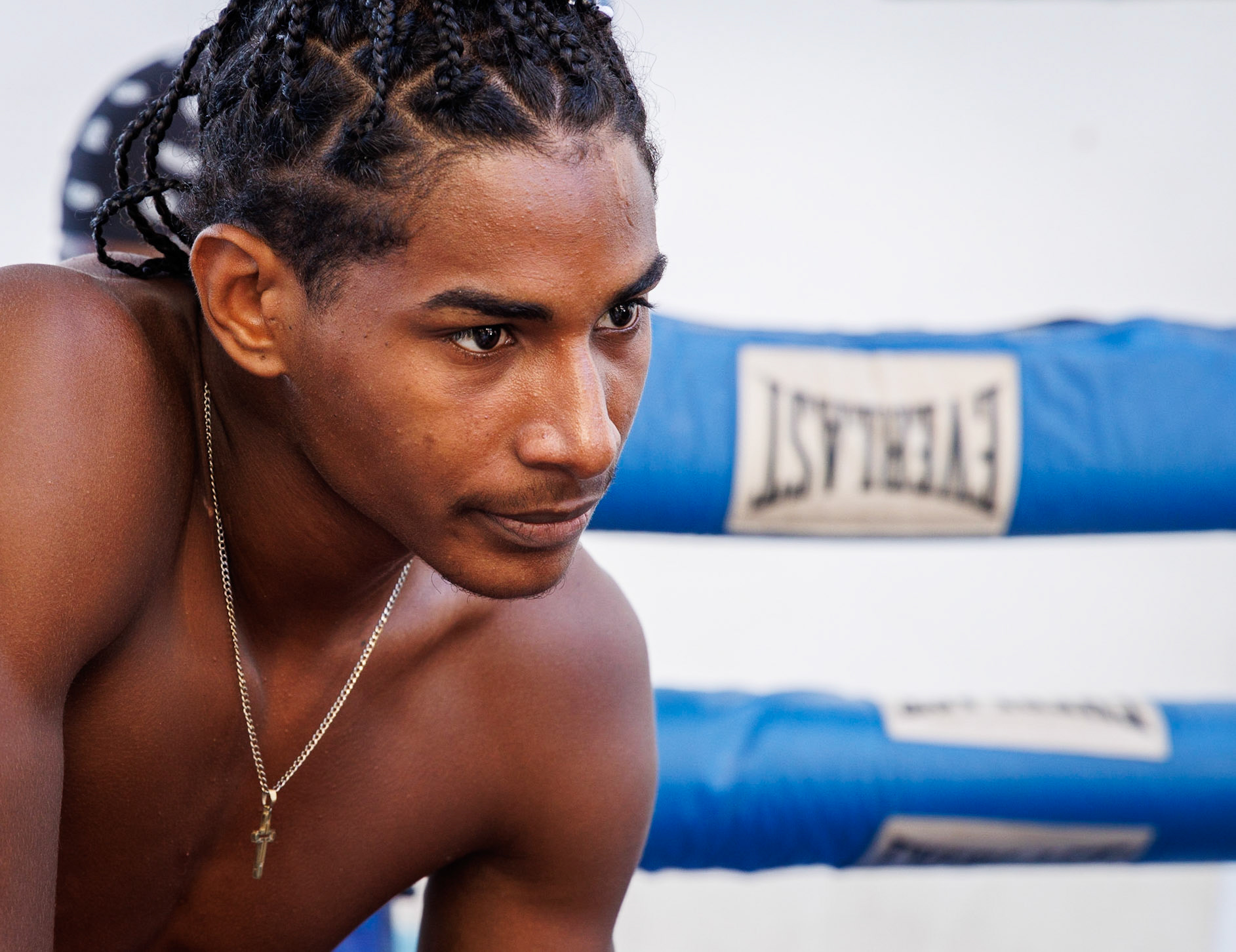 The boxer, Havana