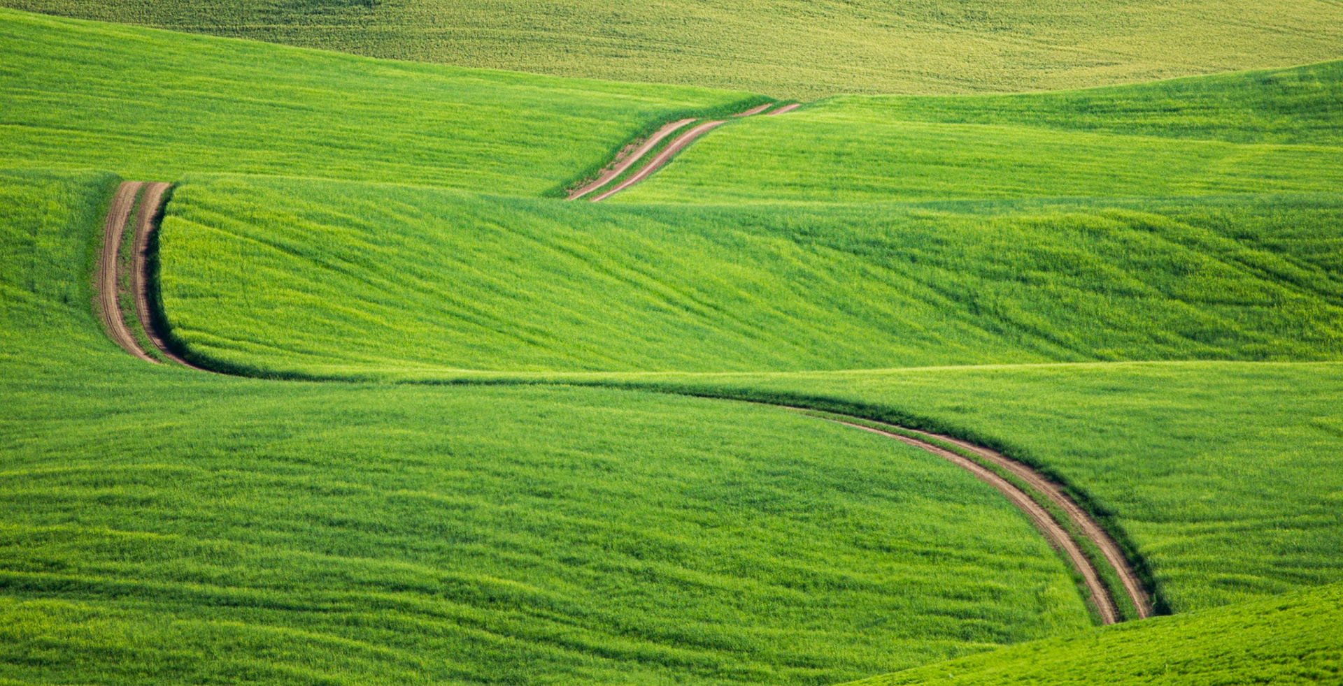 Palouse farmland