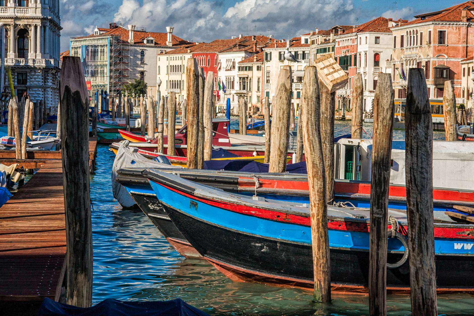 Gondolas, Venice