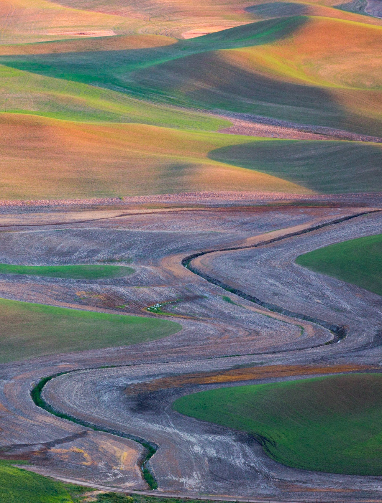 Palouse landscape, WA State