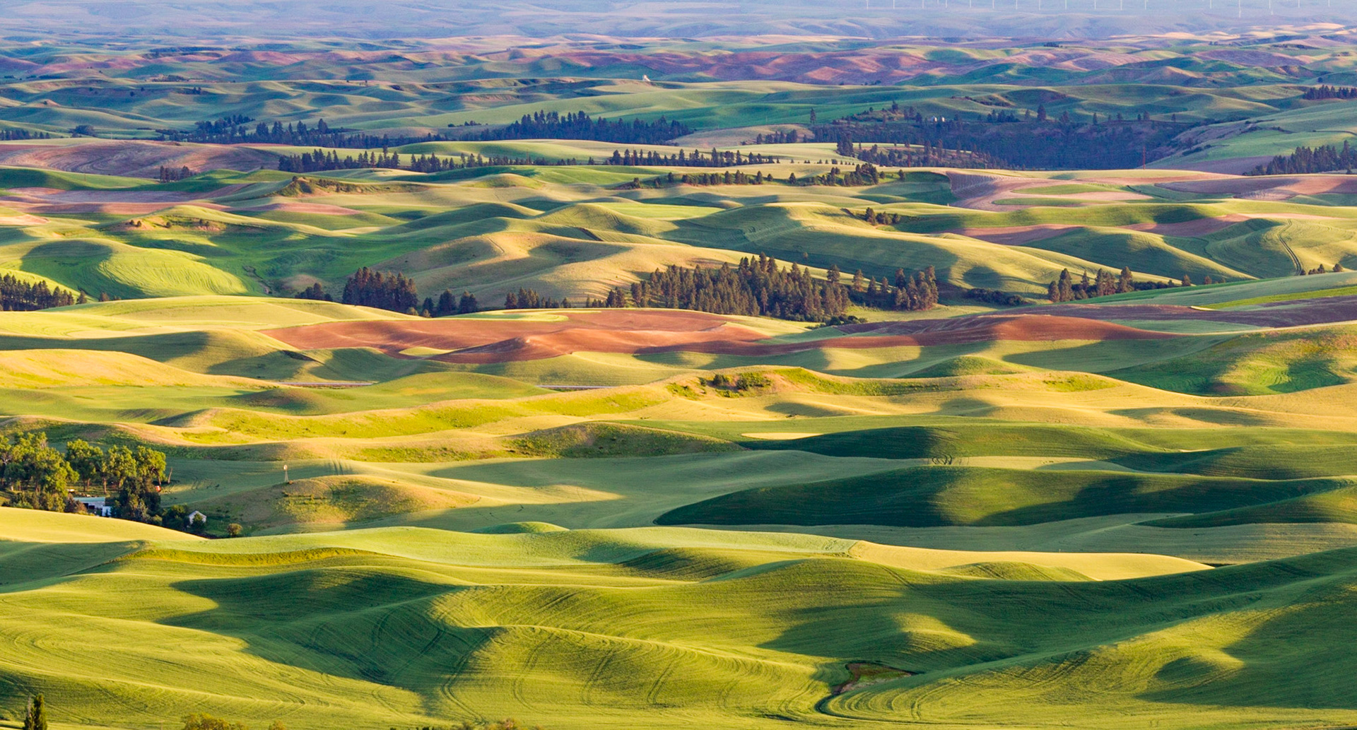 The view from Steptoe Butte