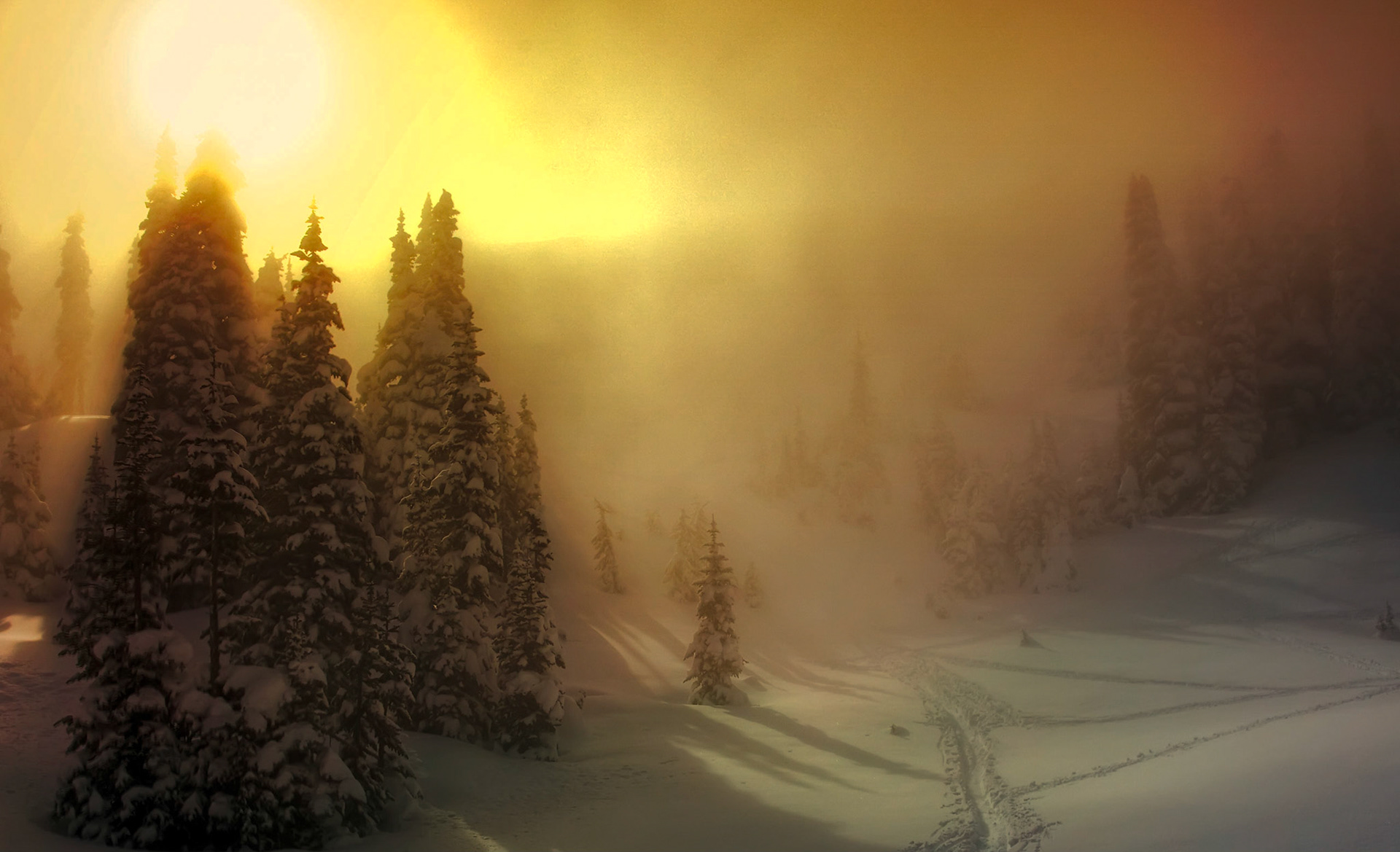 Olympic Natiional Park, WA State