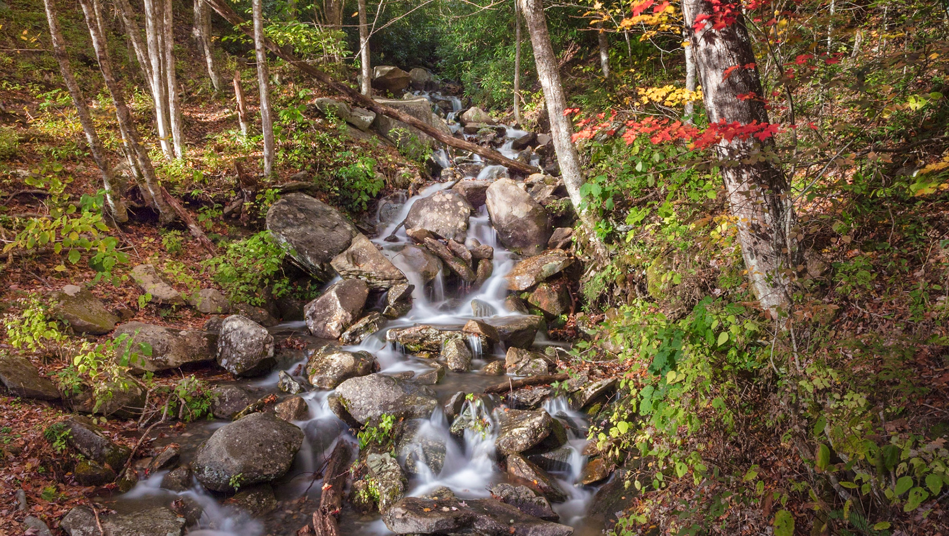 Smoky Mountains NP, Tennessee