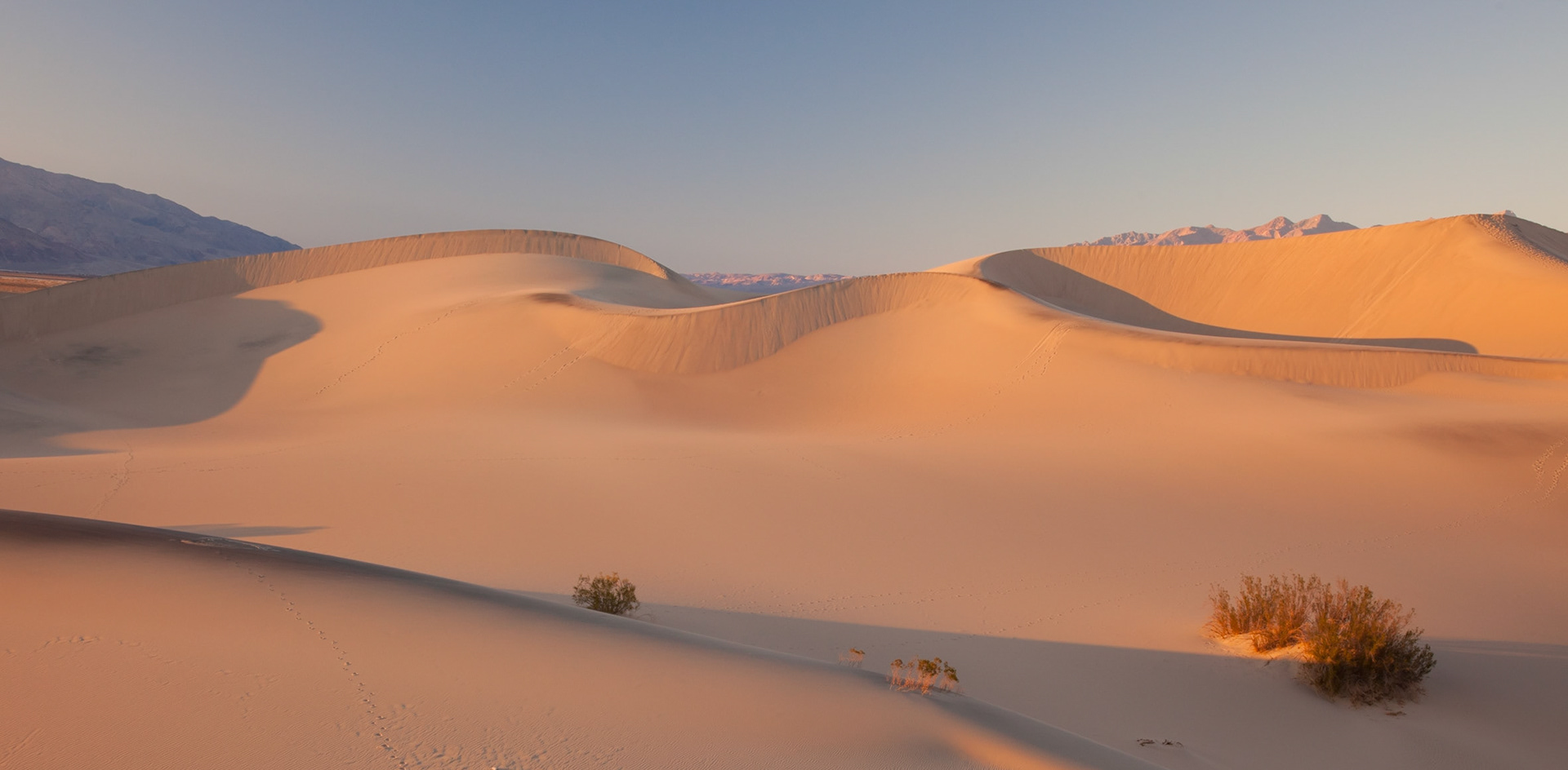 Sand dunes, Death Valley NP