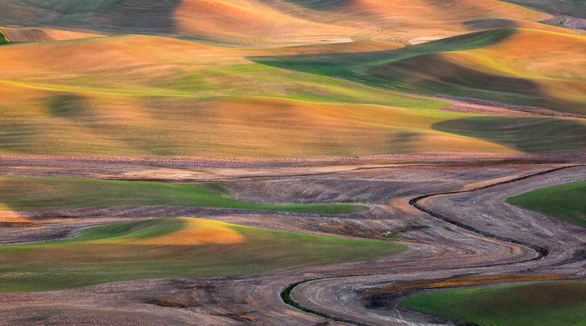 Palouse farmland, WA State