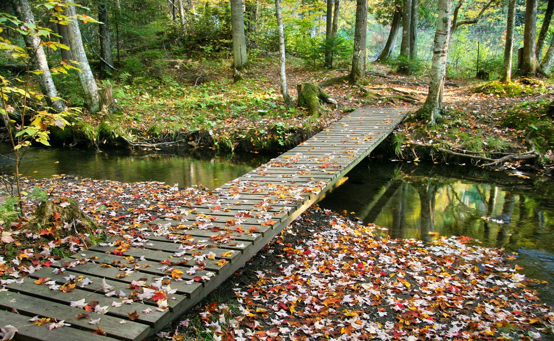 Fall in New England