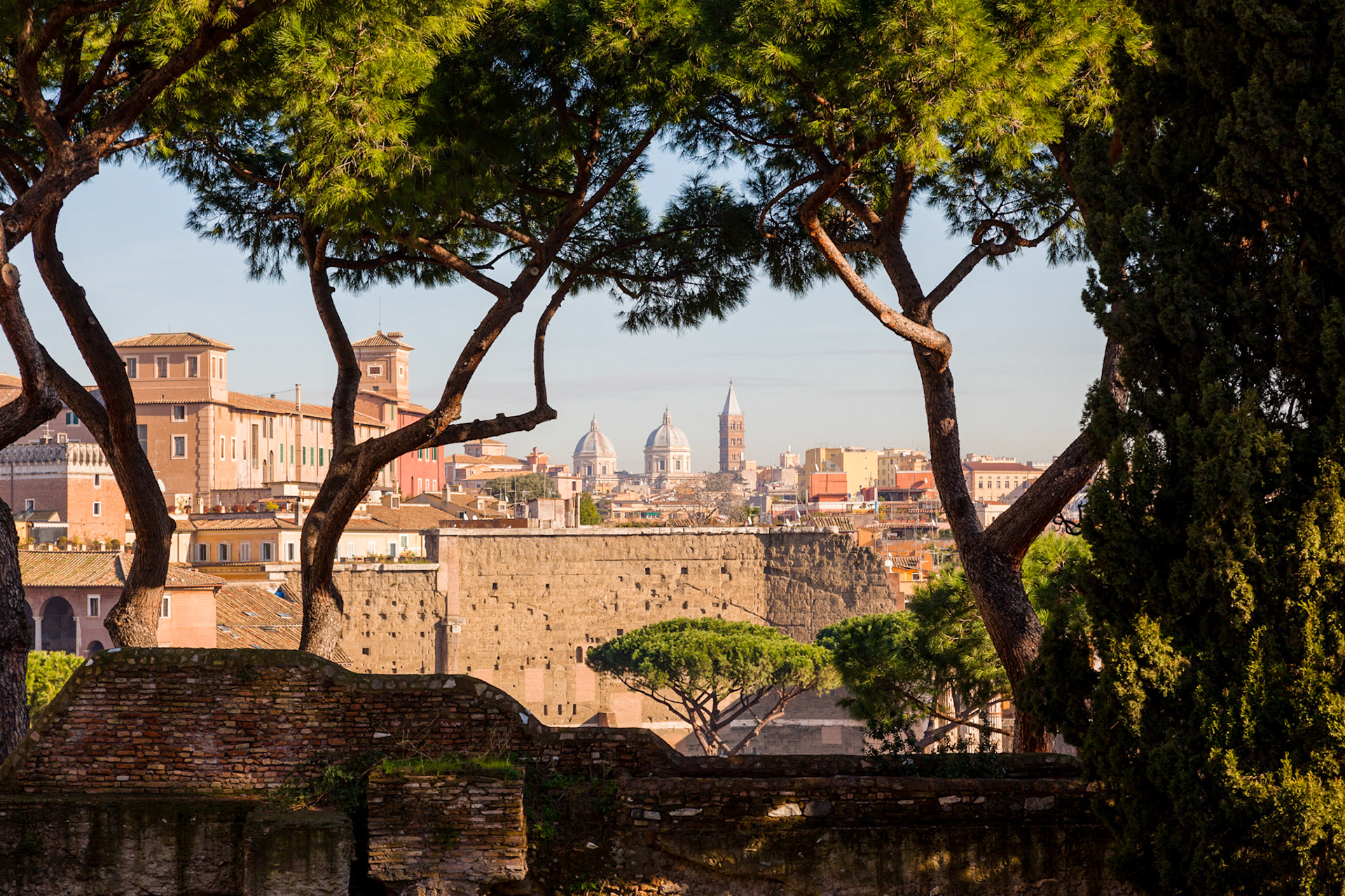 Palantine Hill view, Rome