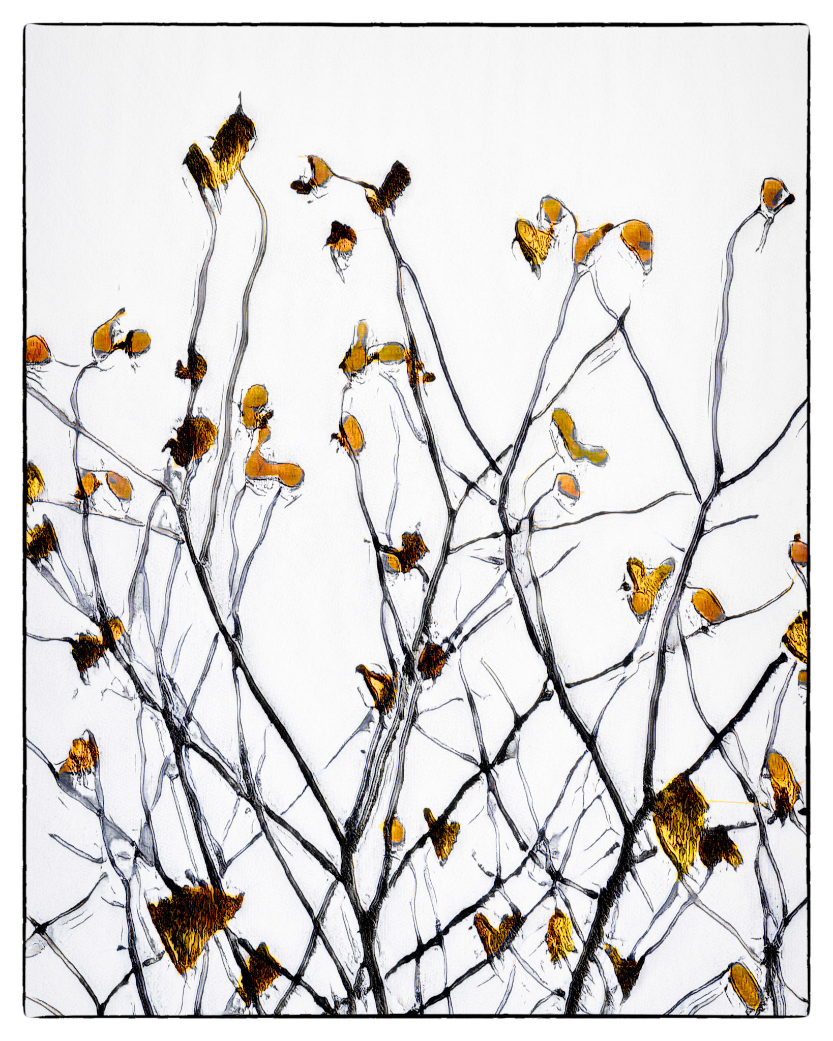 Flowering bush, fall