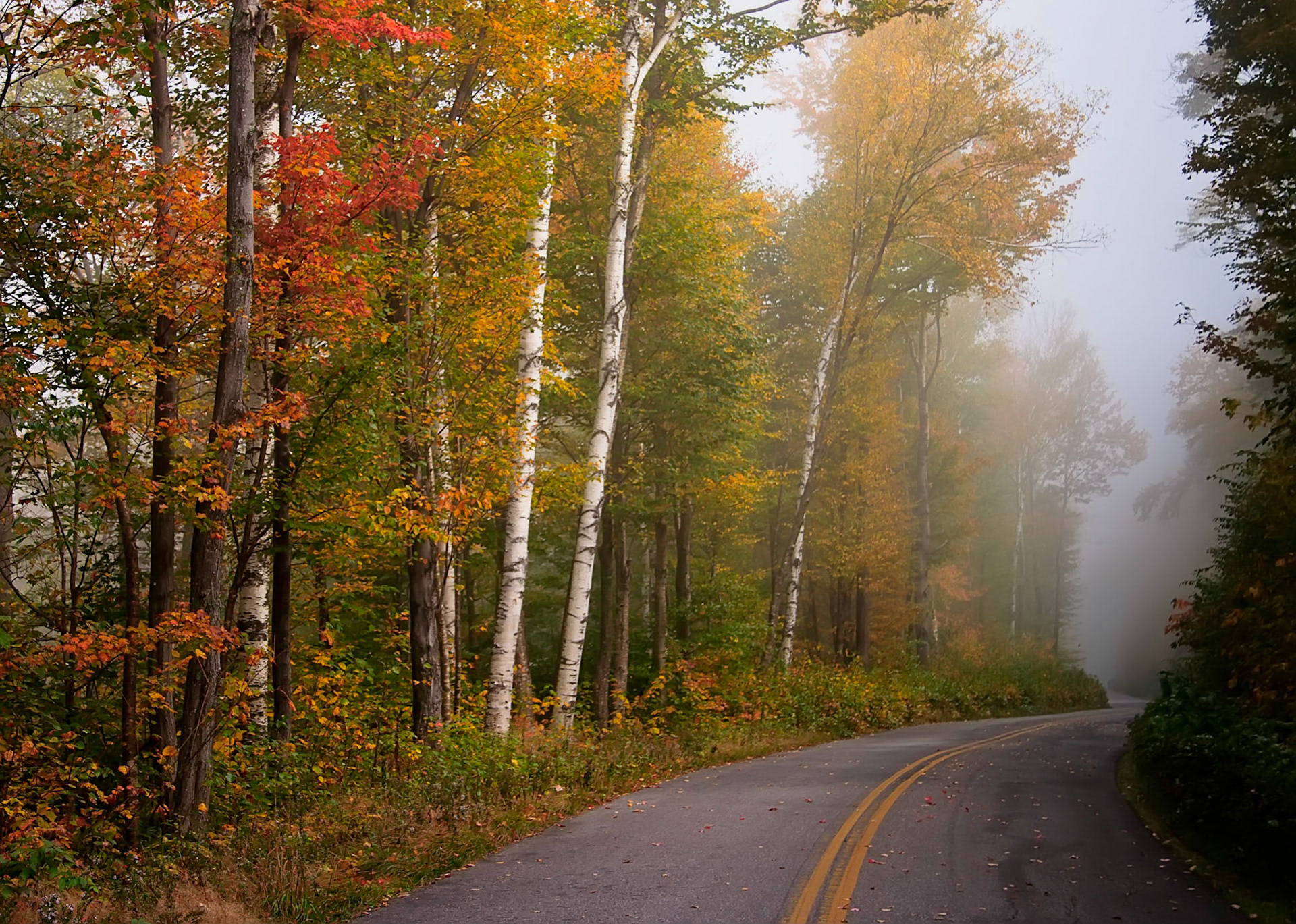 a foggy road near the White Mountains of New Hampshire in early October as the Fall foliage peaked.