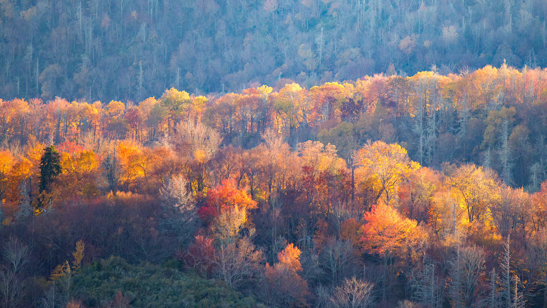 Sunset in the Smokies