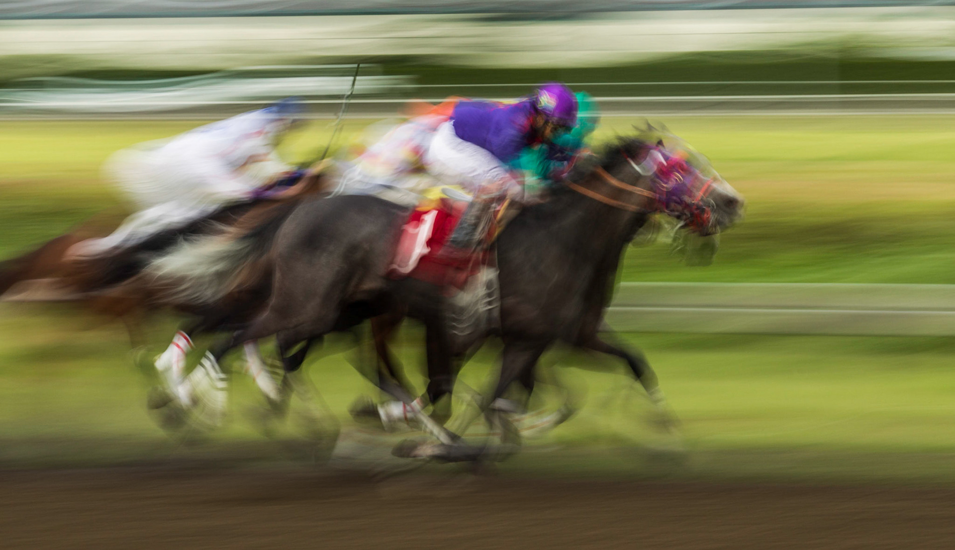 A day at the races