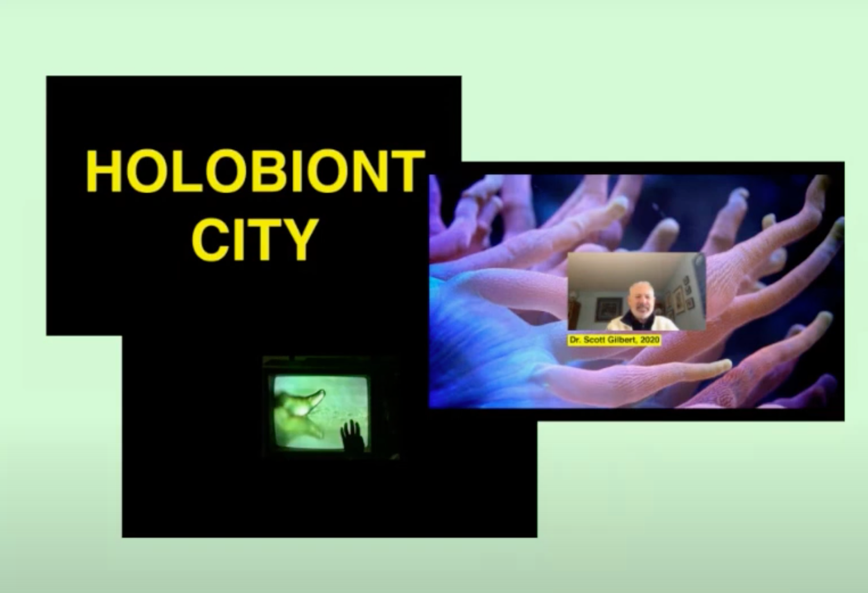 HOLOBIONT CITY, 2019. dir. Amanda Masha Caminals x Matadero de Madrid. EDITOR. VIDEOESSAY.