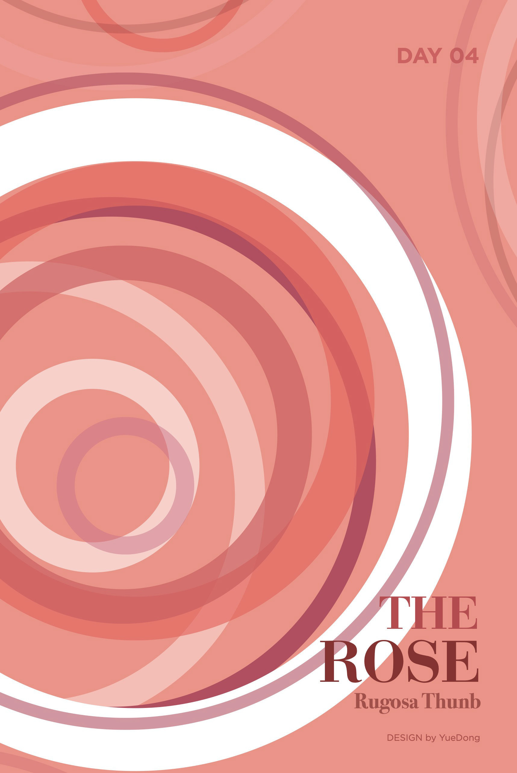 Graphic Design Challenge 04