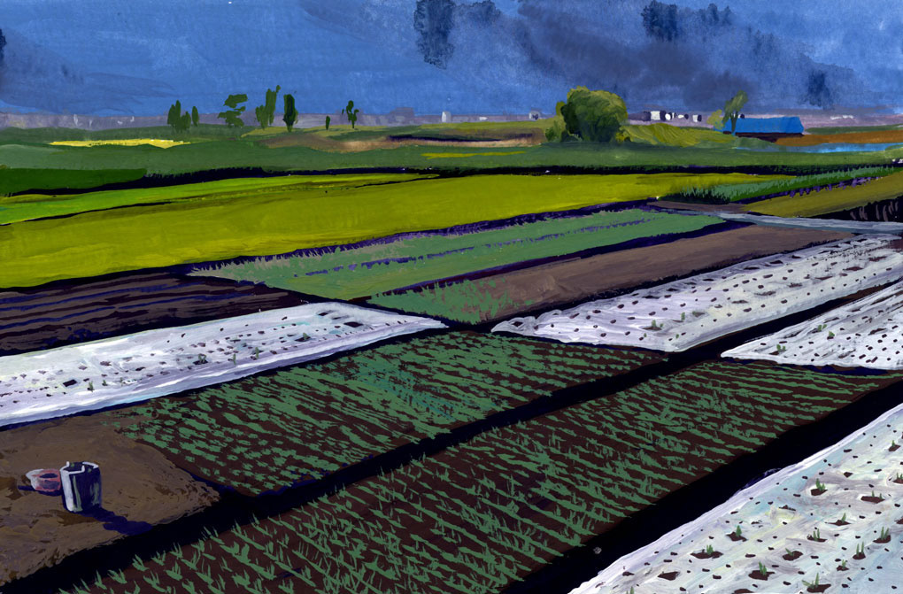  Gouache, peinture, Fanny Denisse