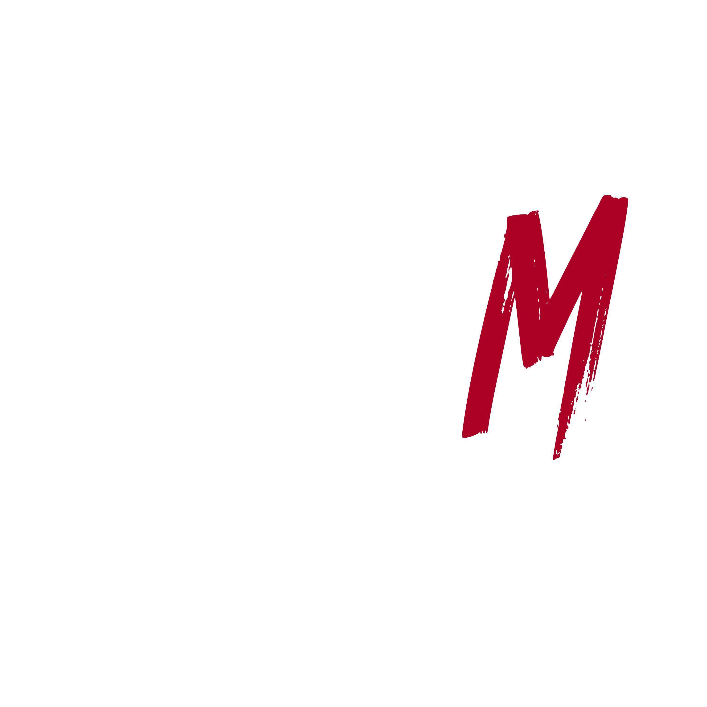 Double M Visions