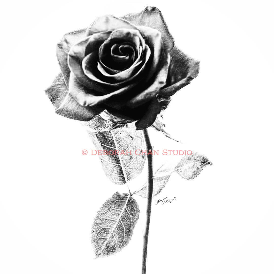 Rose, 2017 Mixed Media on Paper, SOLD