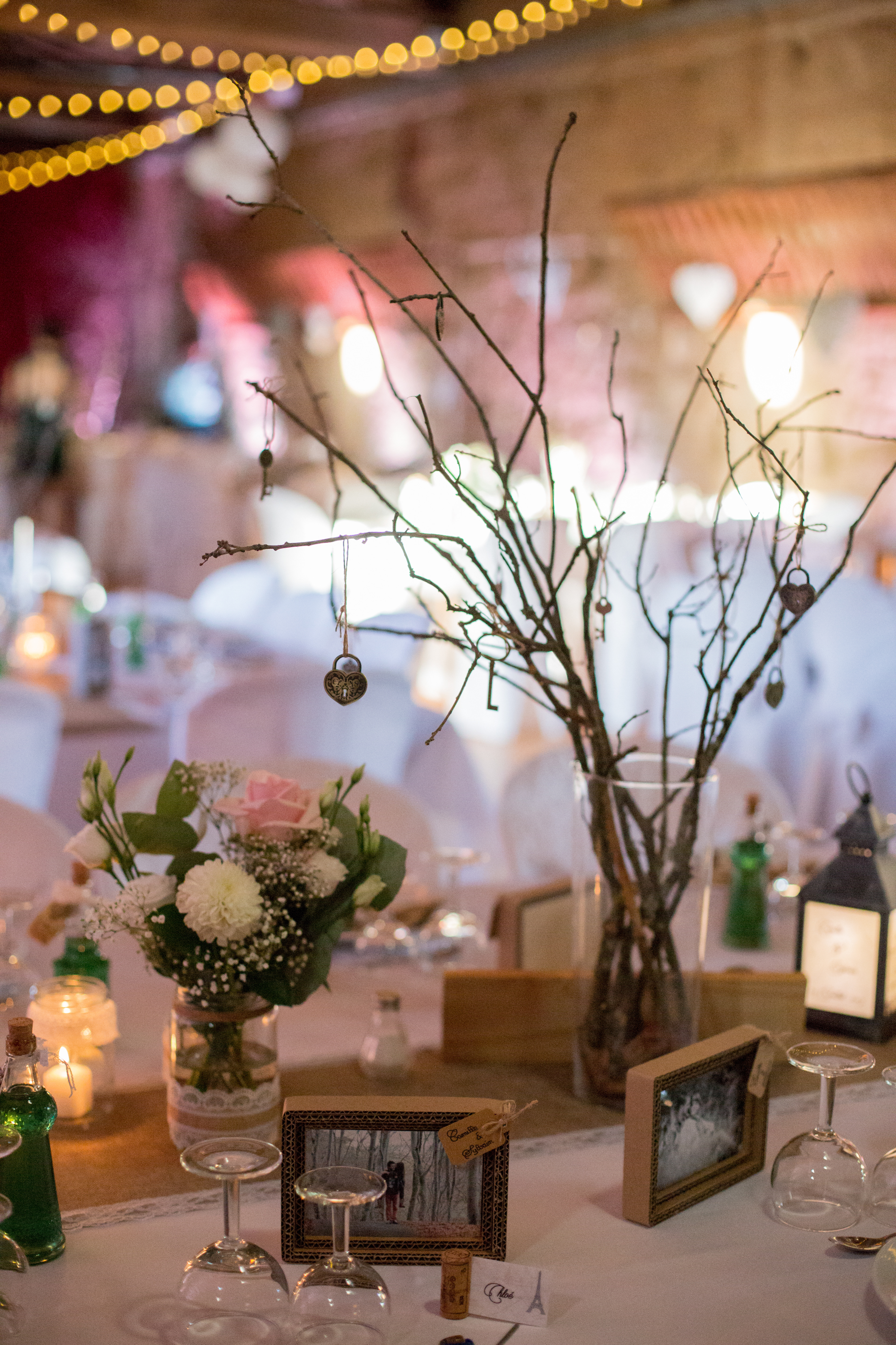 La ferme Seigne - Panissières