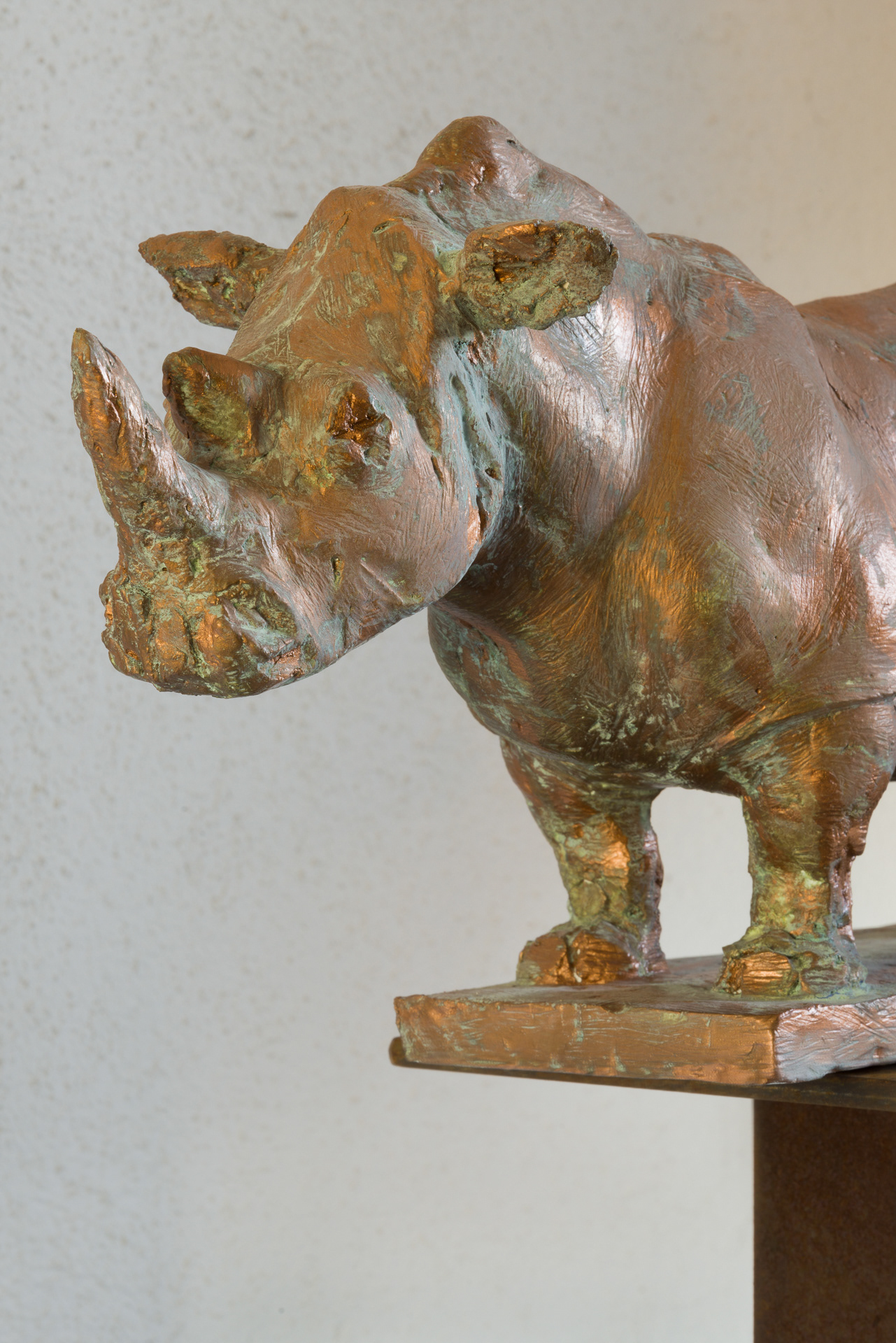 »Nashorn« von Gunther Bachmann