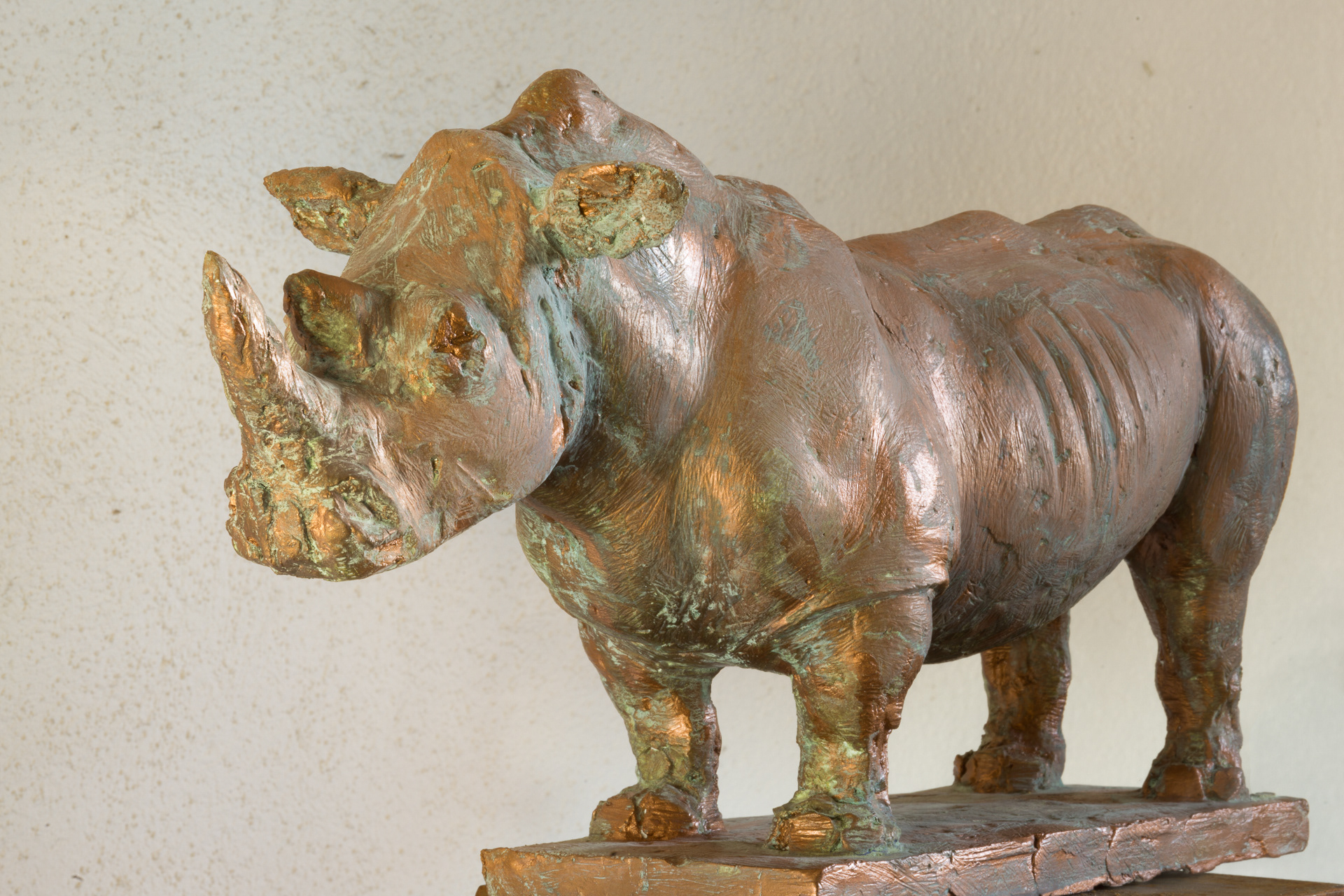 »Nashorn« von Gunther Bachmann