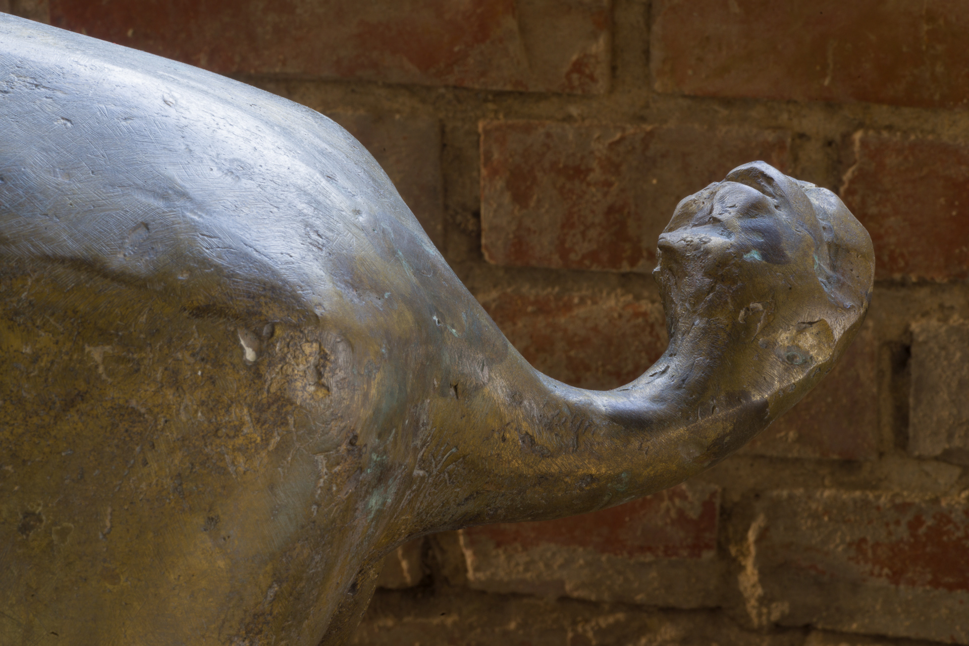 »Nashorn, II.« von Heinz Theuerjahr