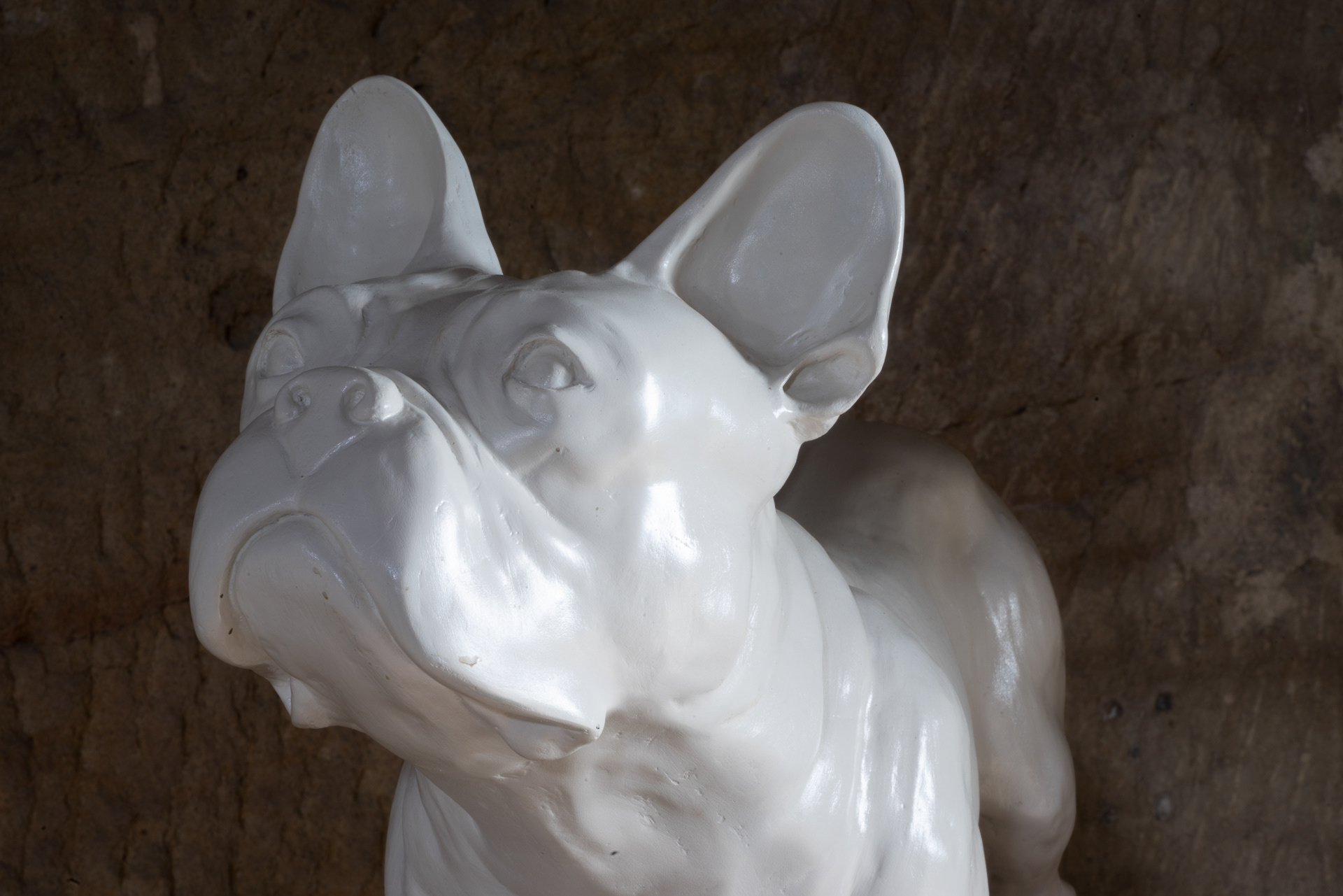 »Bulldogge« von Paulina Skavová