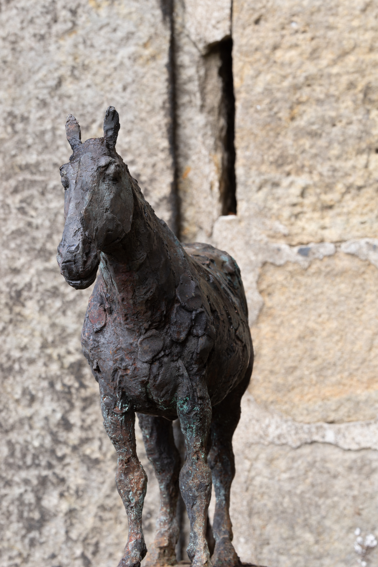 »Pferd« von Sabina Grzimek