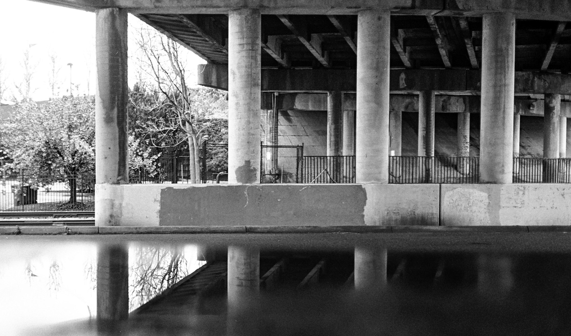 Olympus 35sp Tmax 400