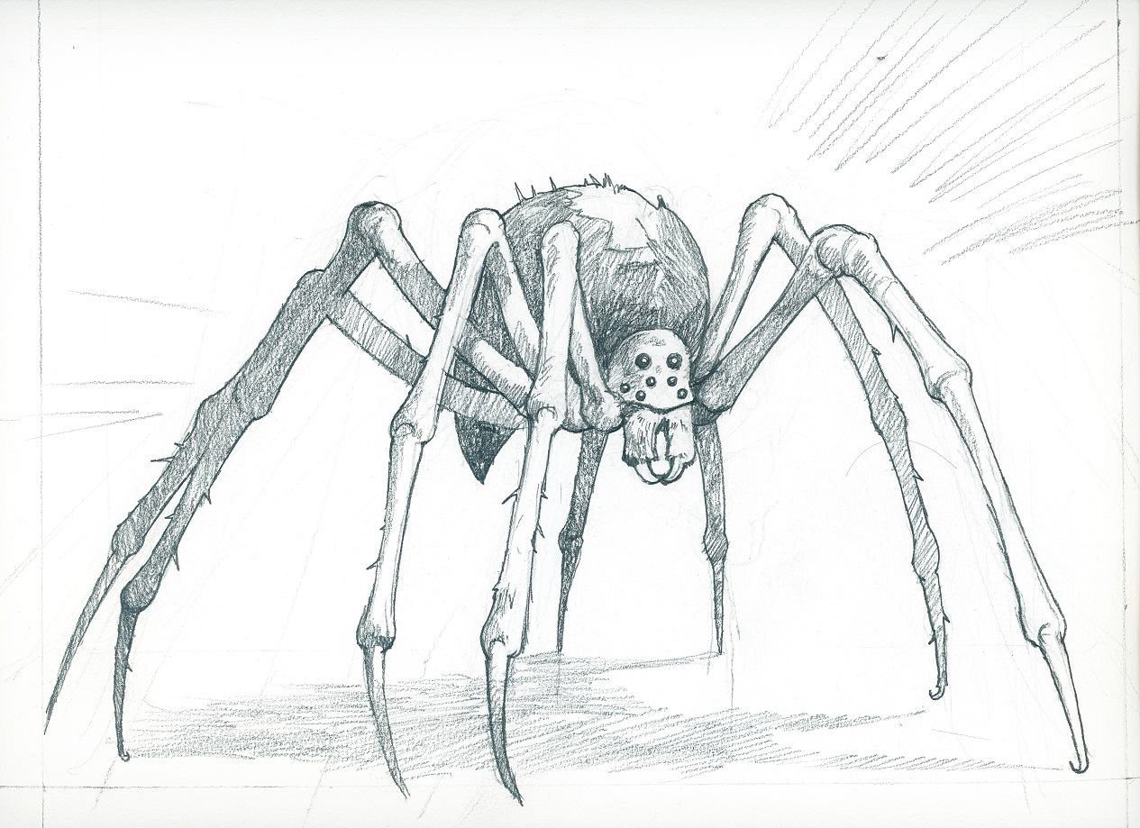 Xavier's spider drawing three levels of detail