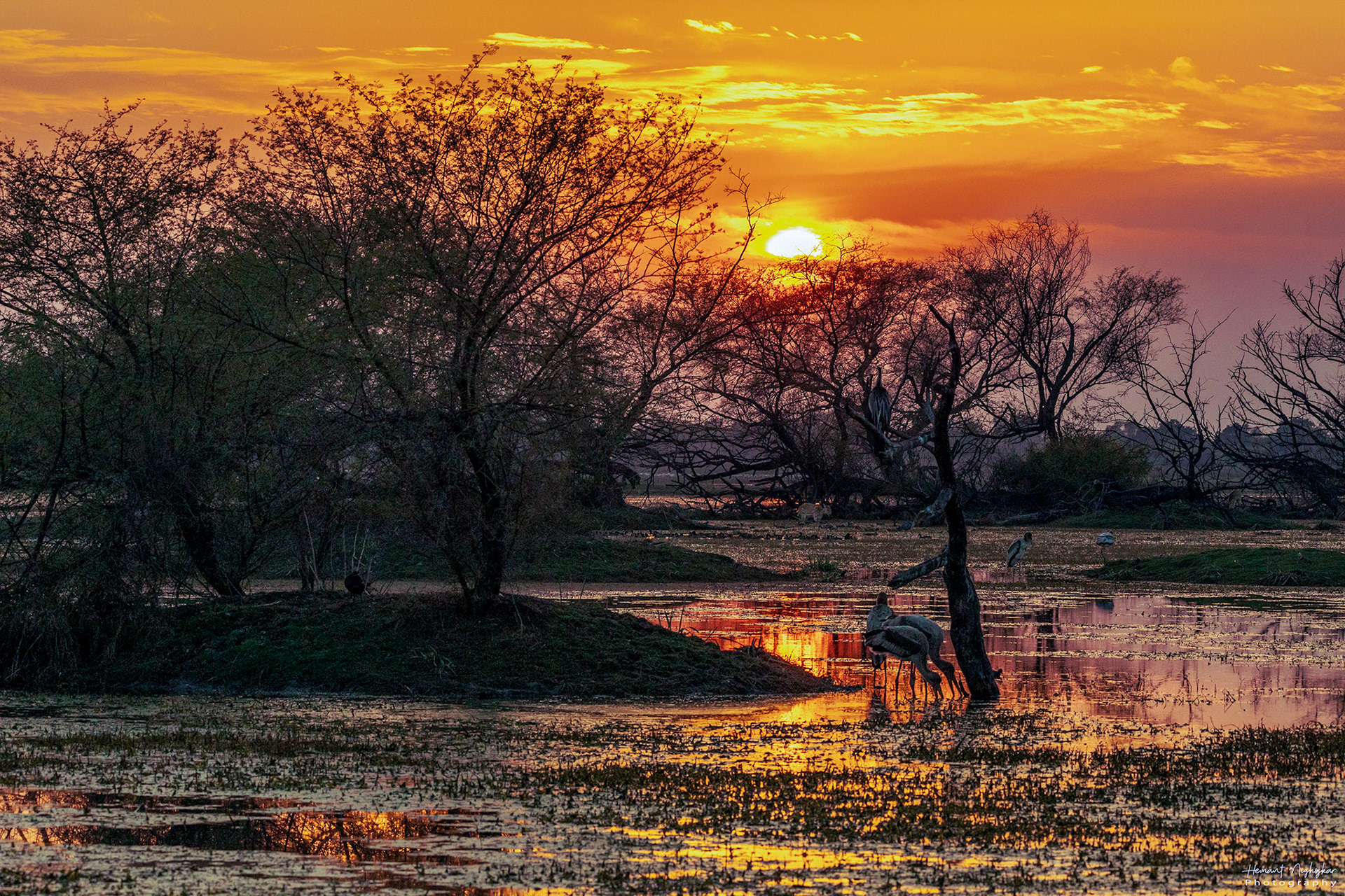 Sunset at Bharatpur Bird Sanctuary