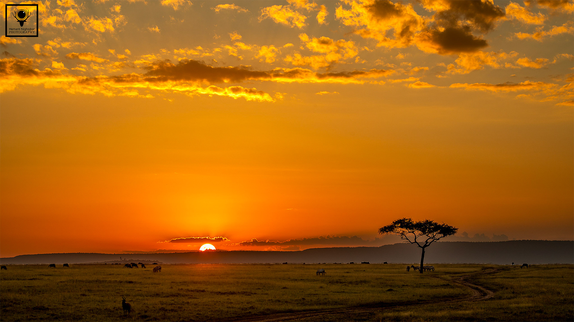 Sunset on Savannah