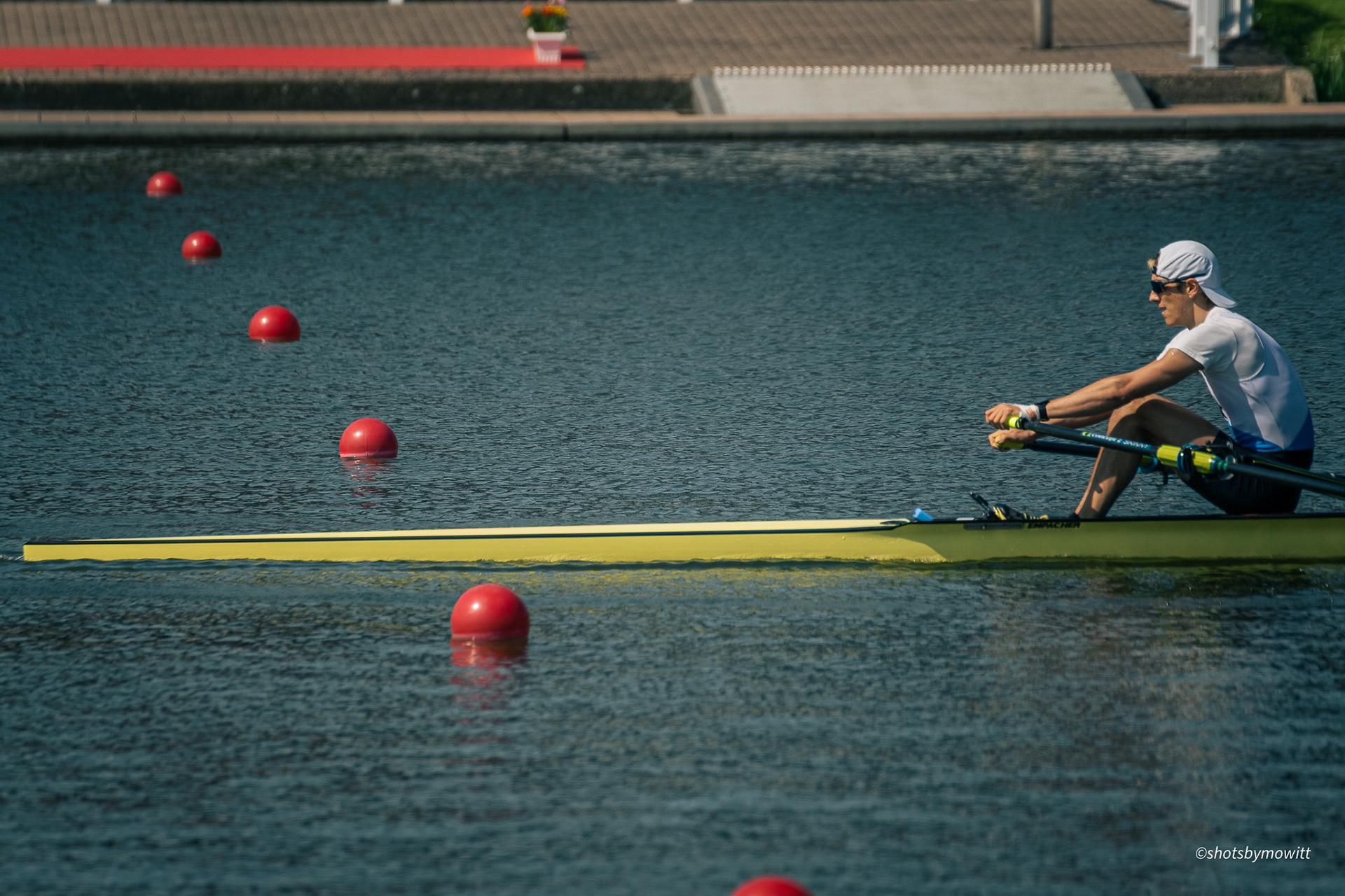 Arno Gaus