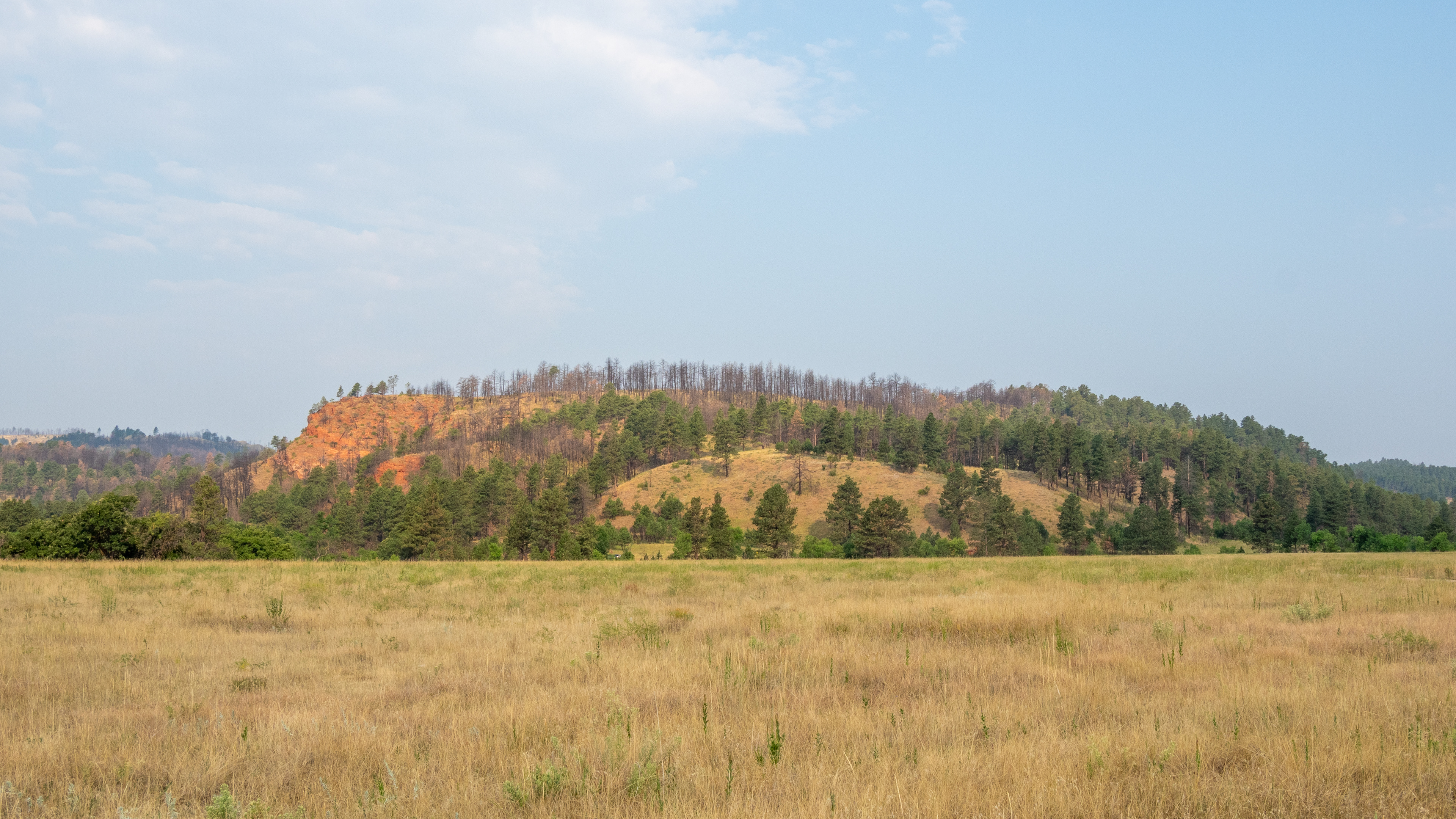 The Prairie- Black Hills Custer State Park