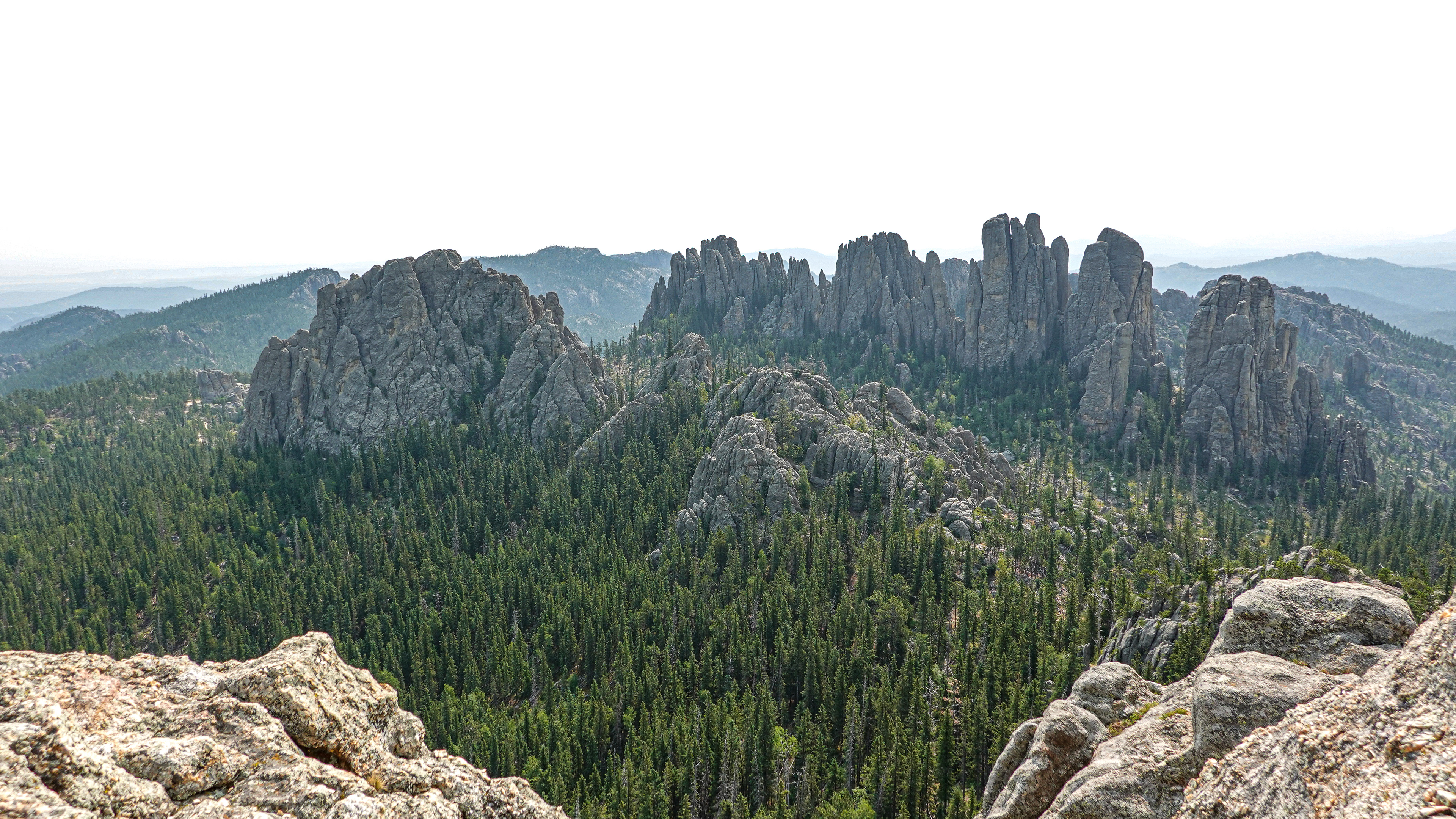 The Needles- Black Hills Custer State Park