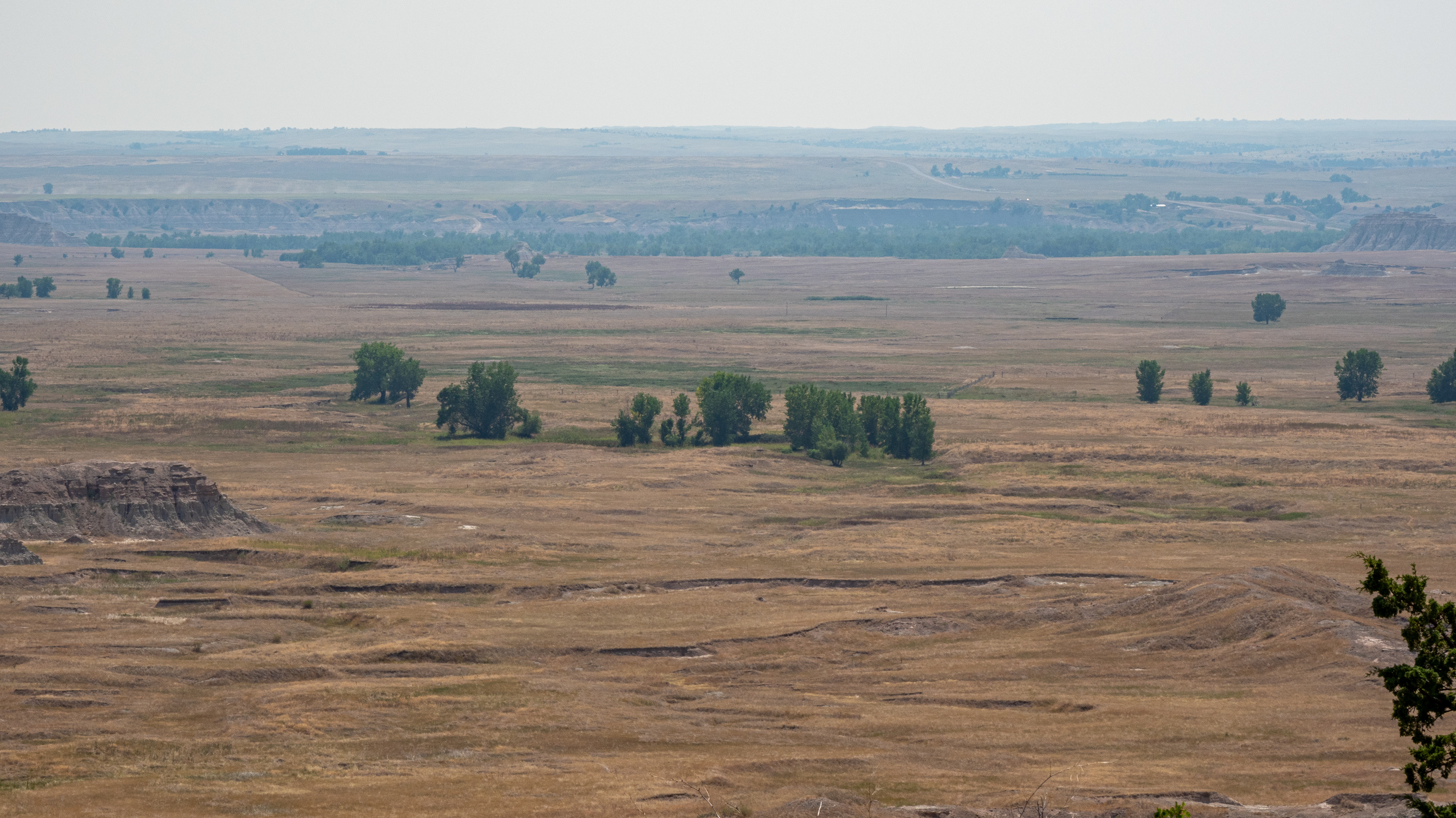 The Prairie- Black Hills Custer State Park