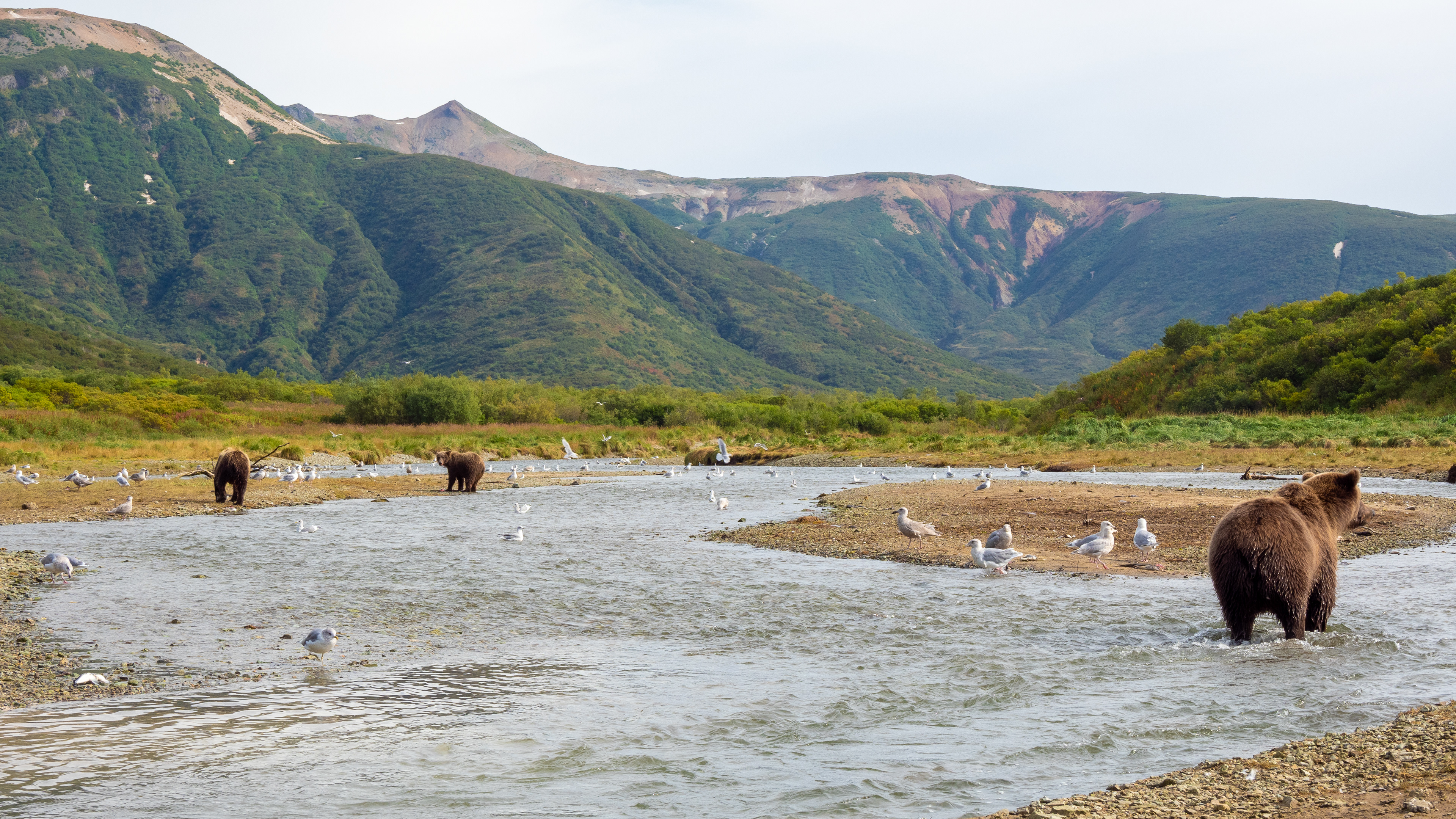 Fishing & strolling at Kinak Bay