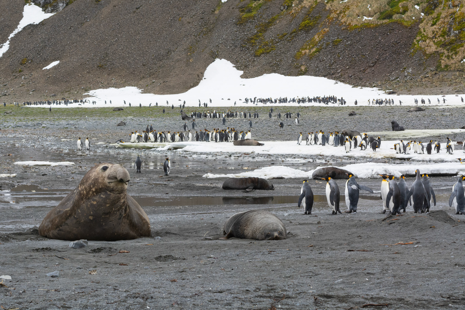 The Beach is a Happening Place!- Right Whale Bay