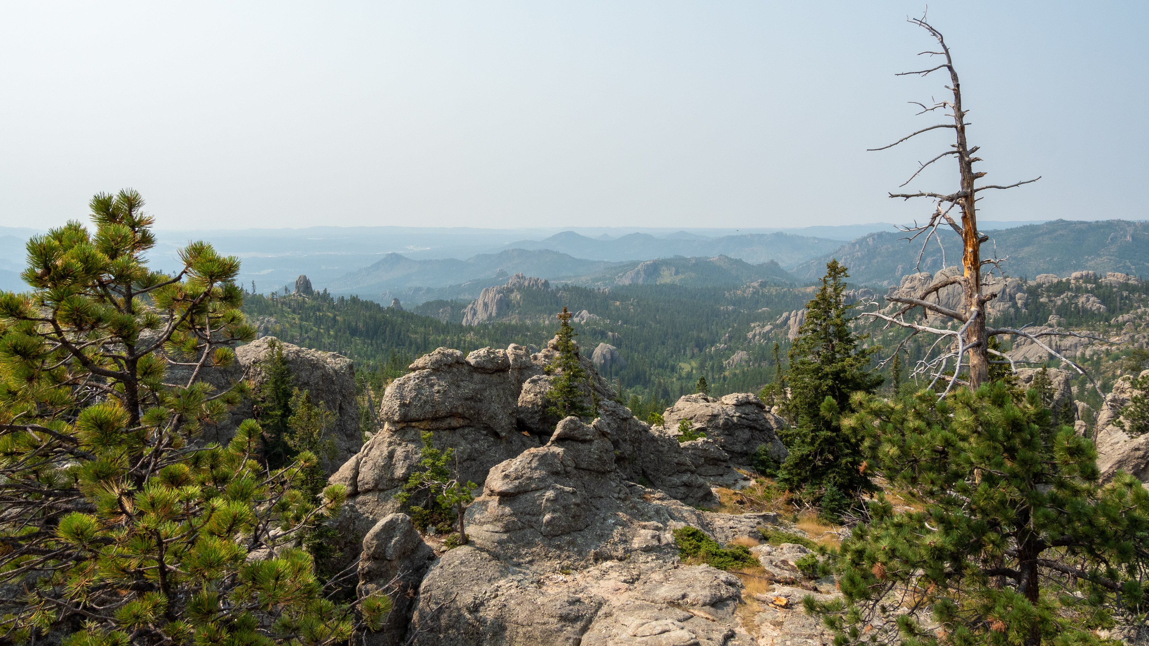 The Needles- Black Hills Custer State Park