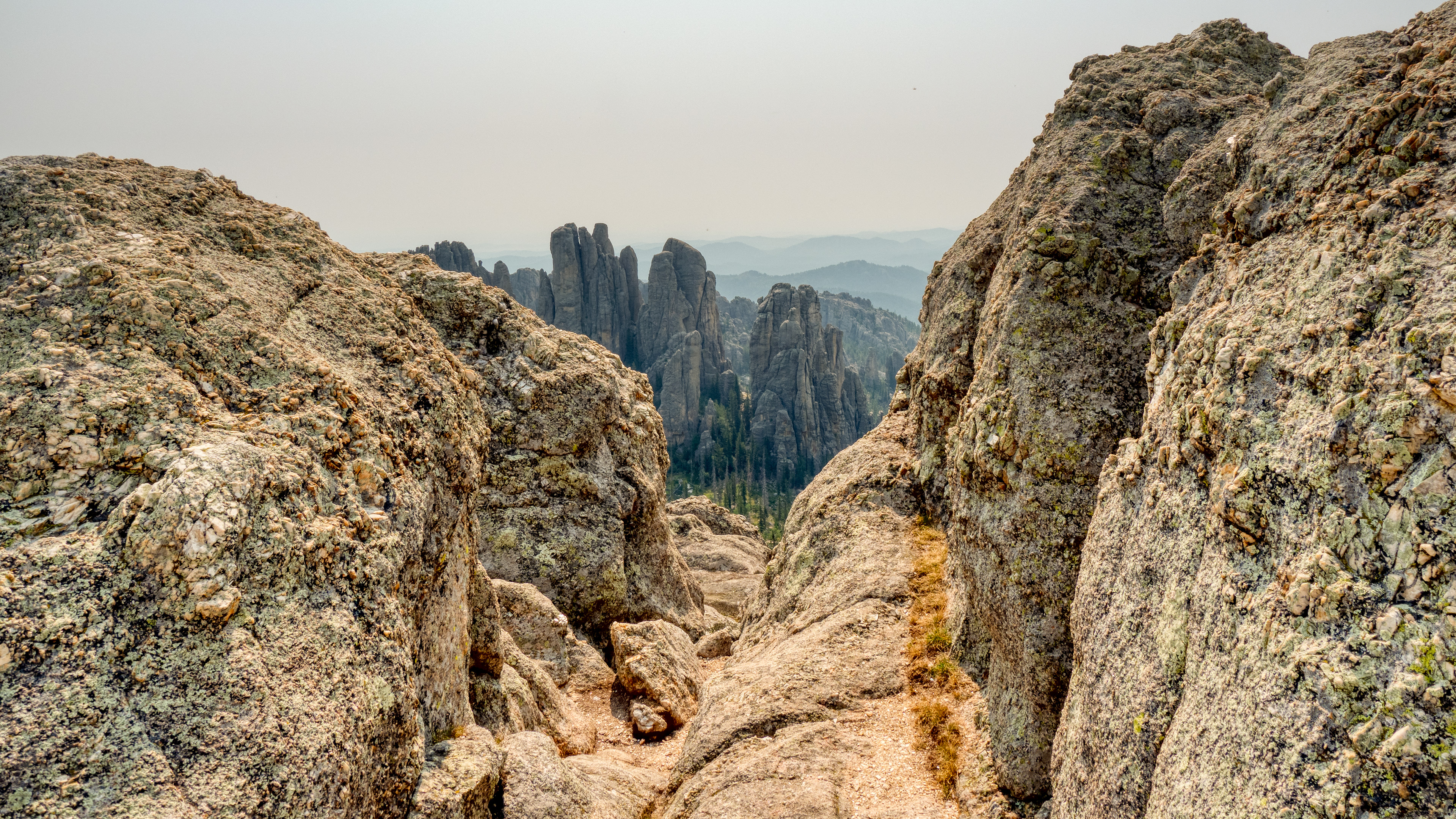 The Needles- Black Hills Custer State Park