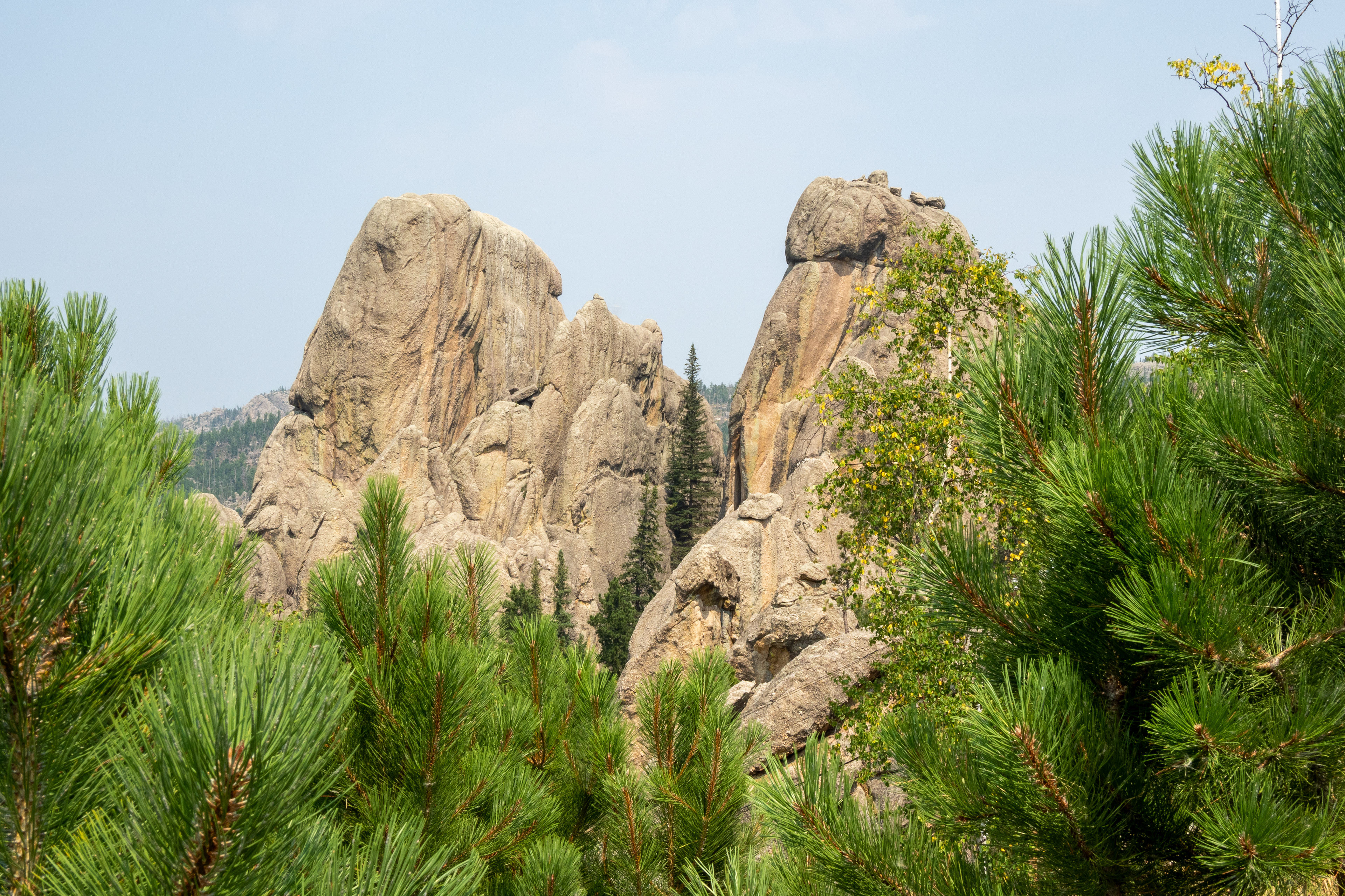 The Needles- Black Hills Custer State Park