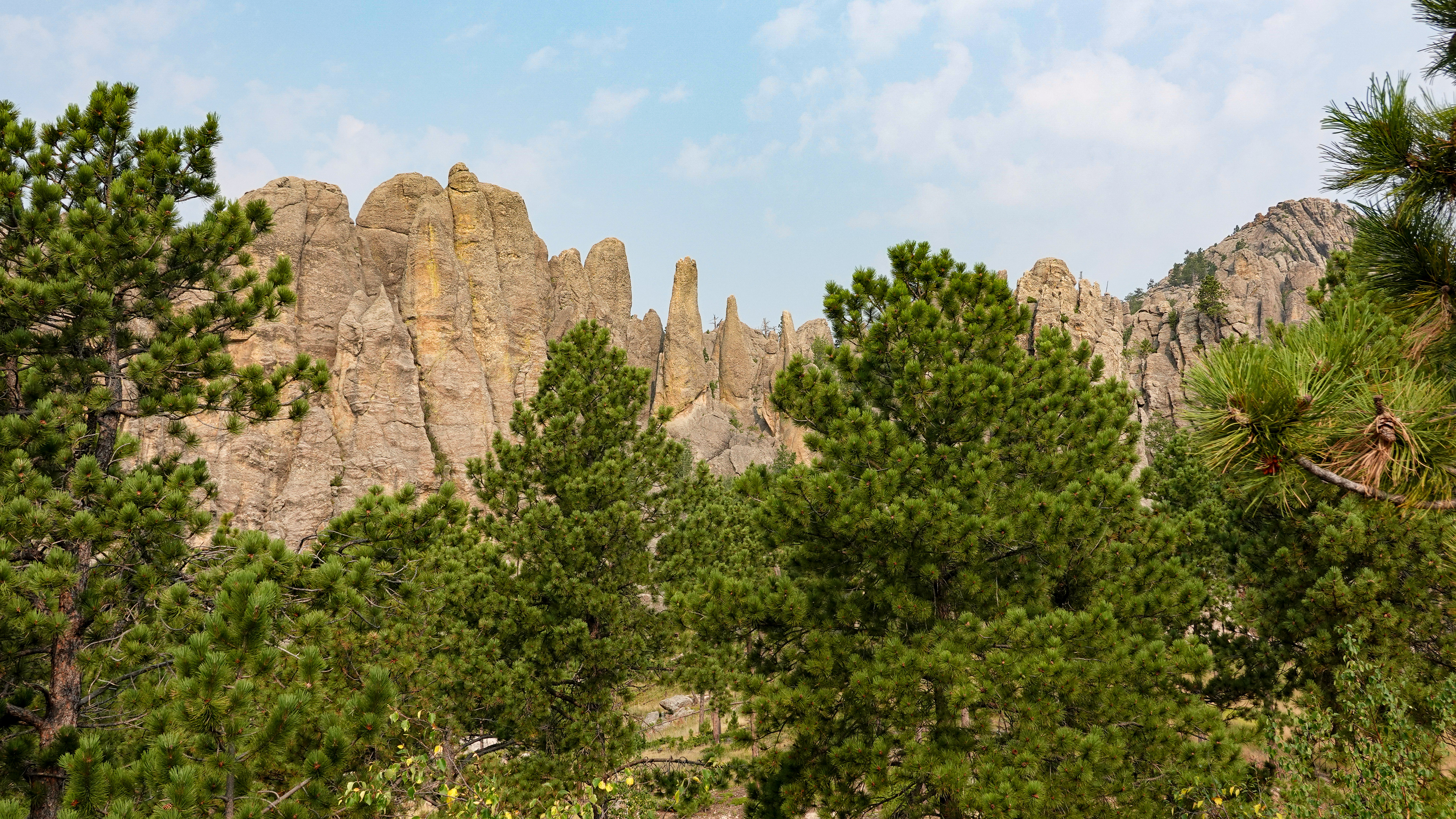 The Needles- Black Hills Custer State Park